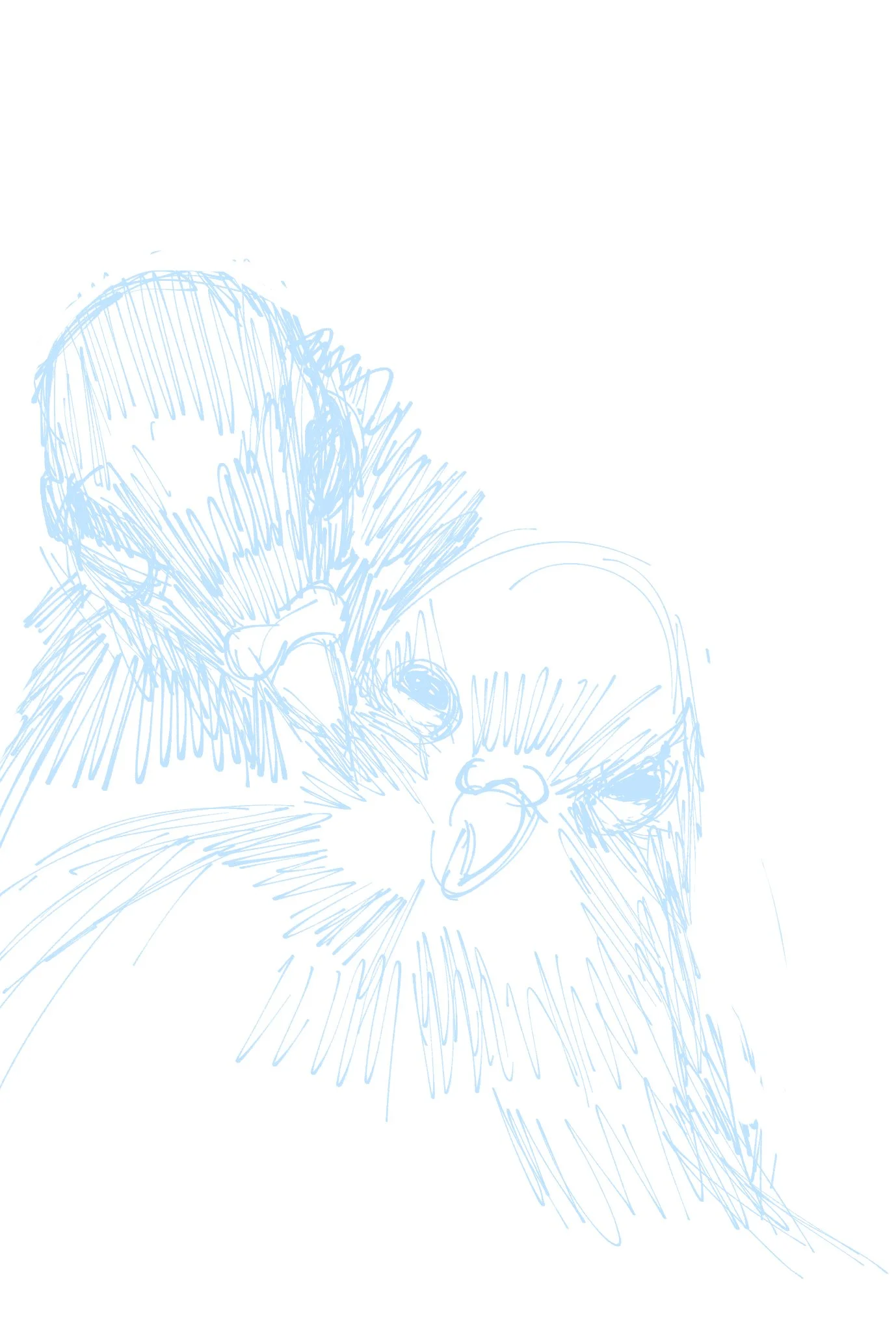 bird 7.jpg