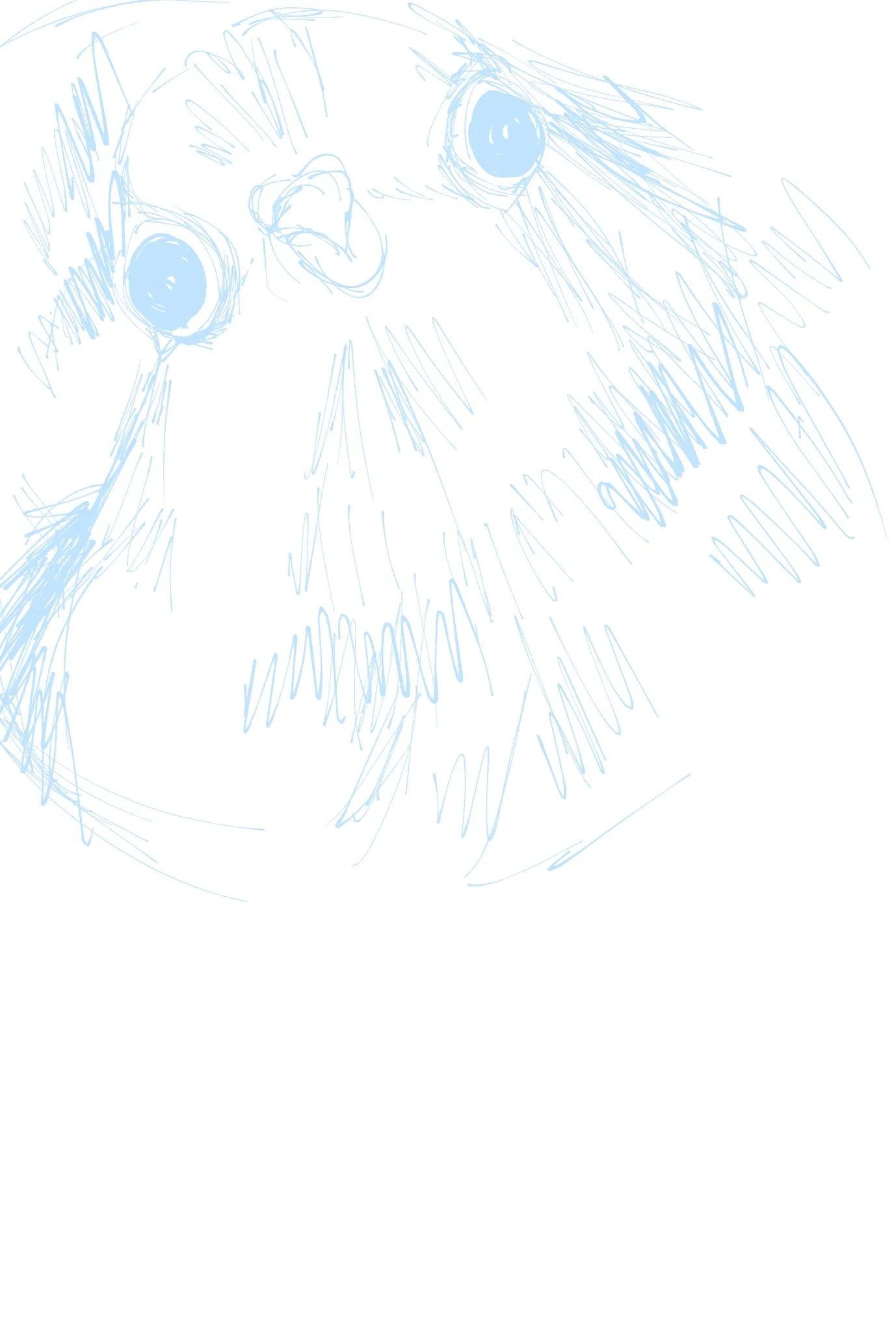 bird.jpg