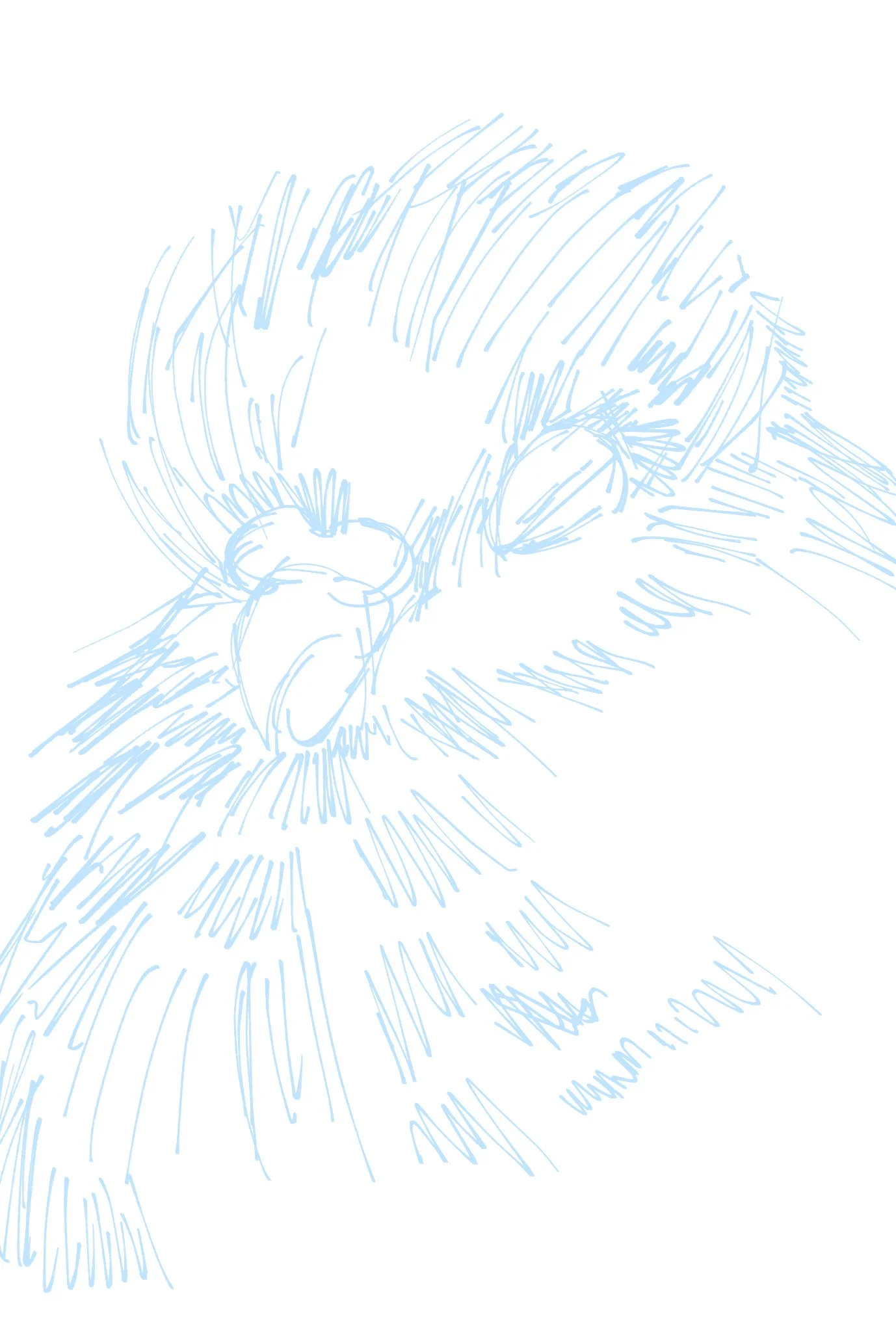 bird 5.jpg