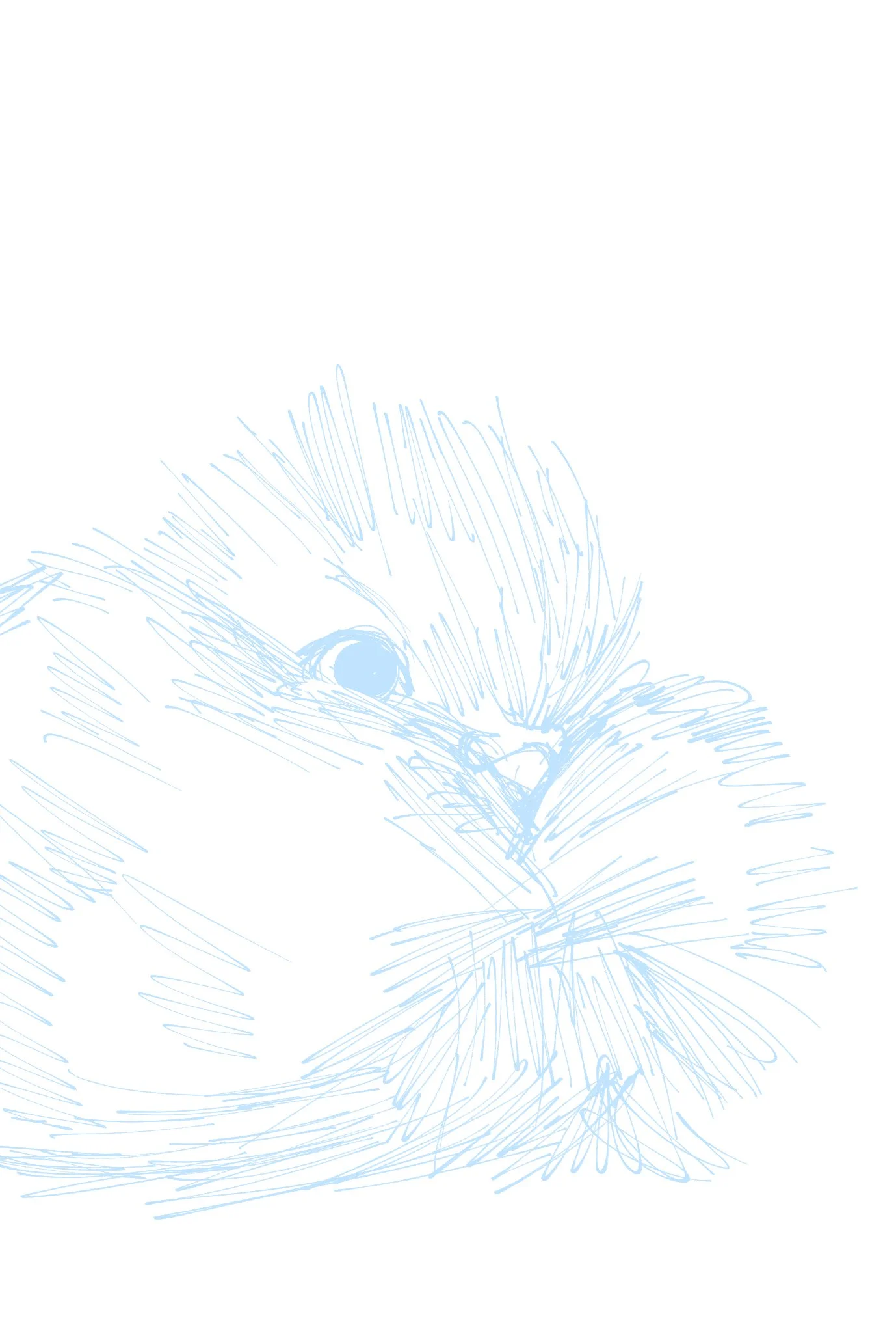 bird 8.jpg