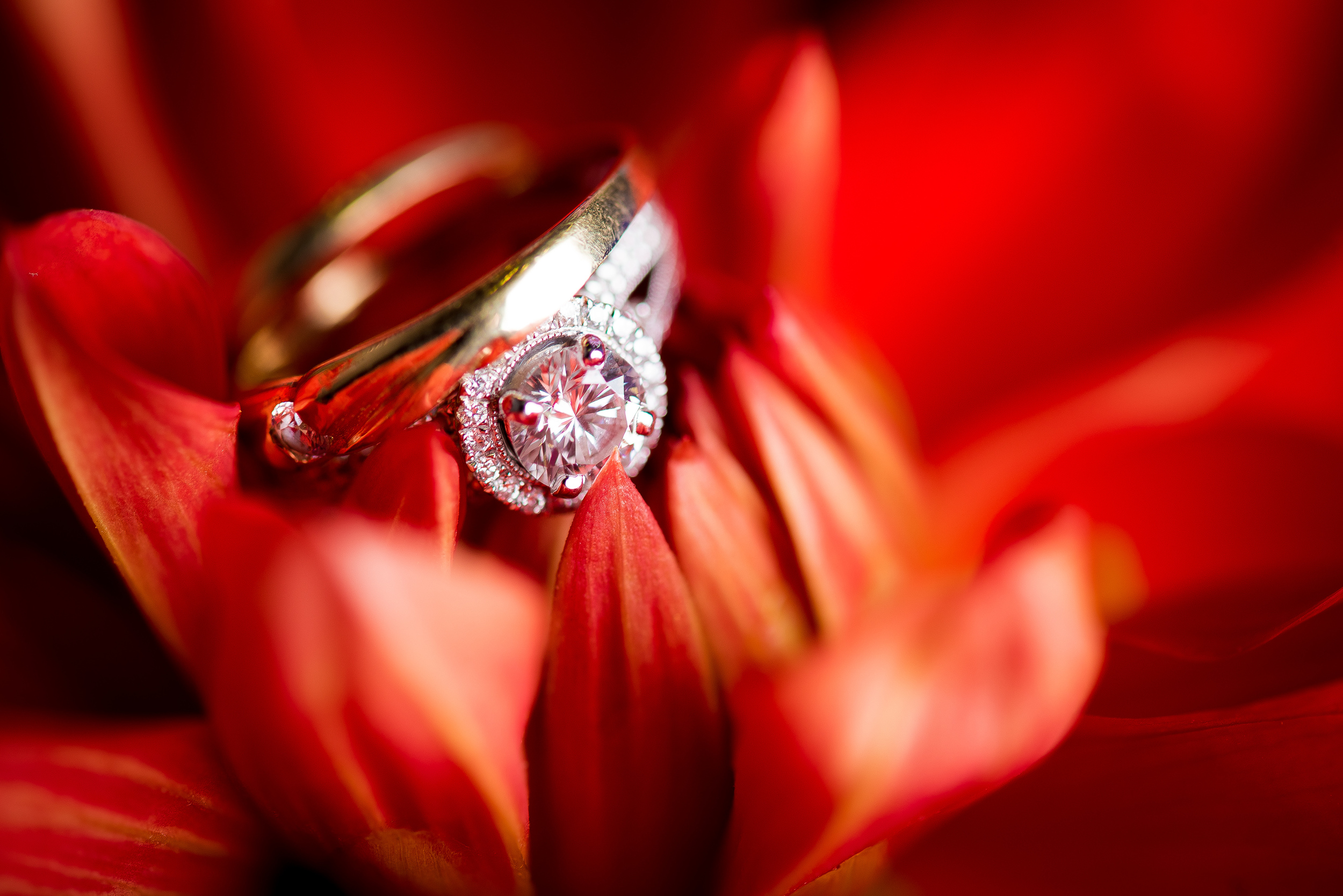 Ring shot-1.jpg