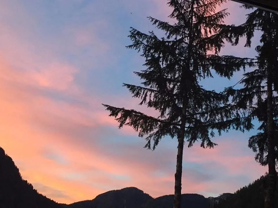 Sunset sky with pink and purple clouds over silhouetted mountains and trees.