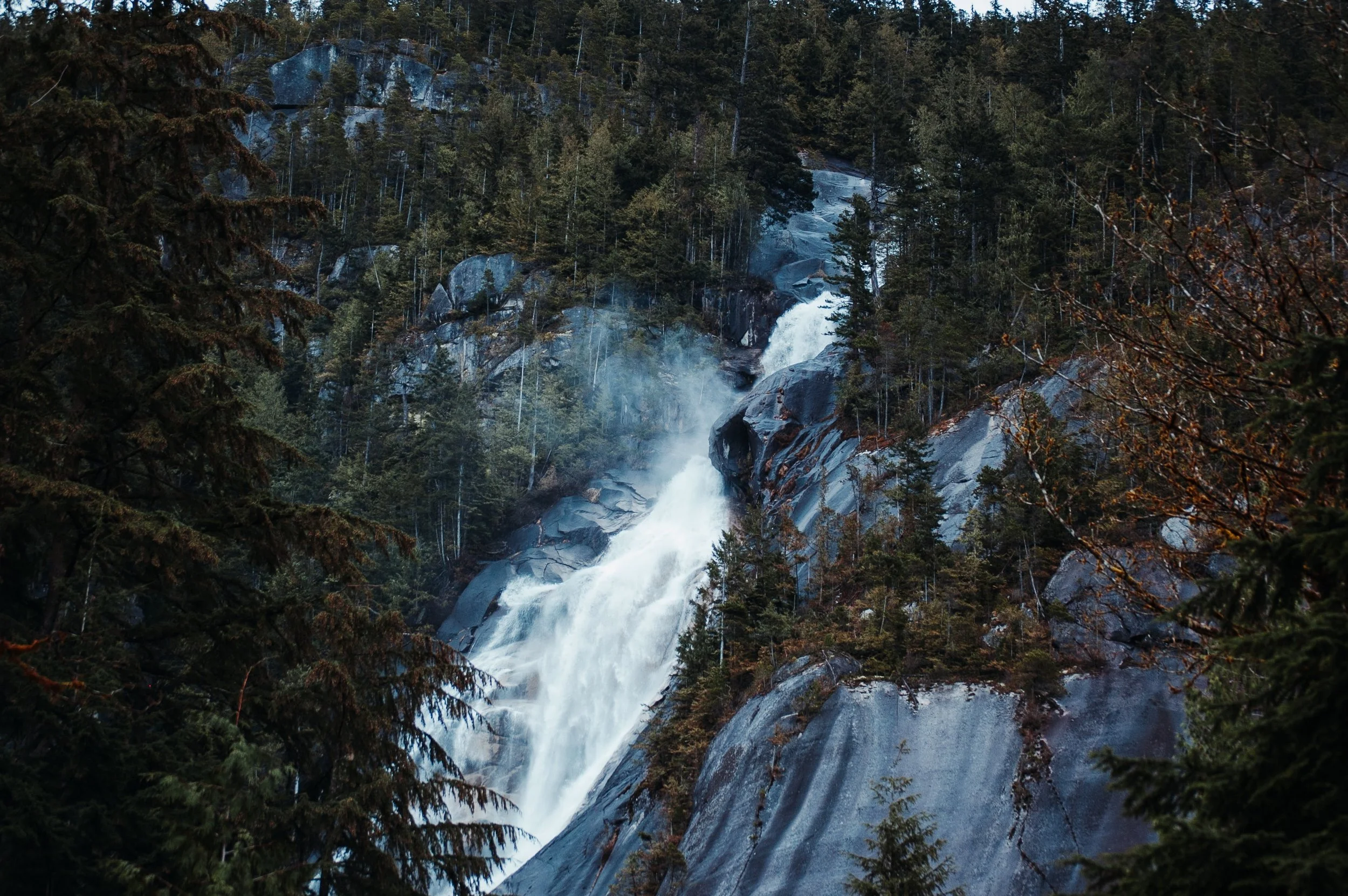 A waterfall flowing down a rocky mountainside surrounded by dense evergreen trees.