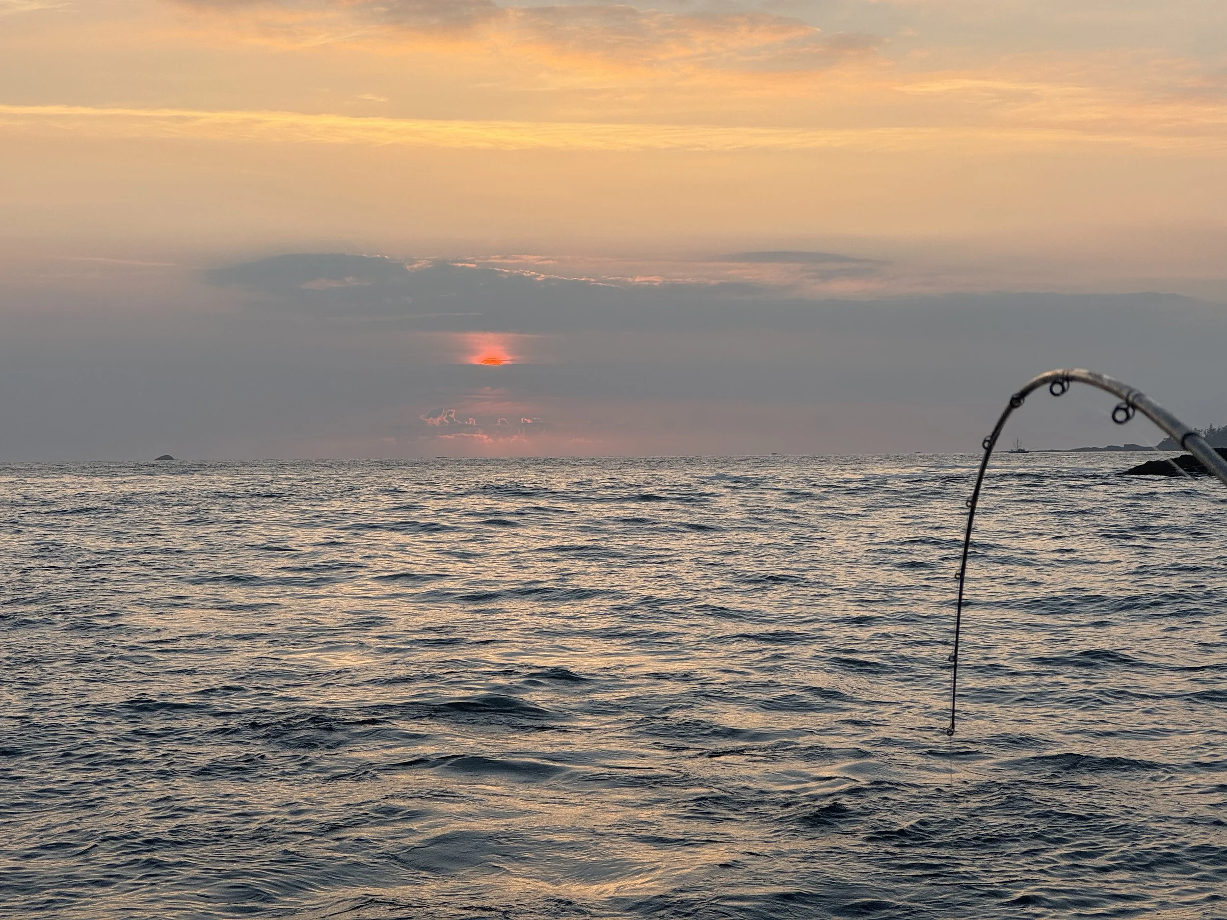 A sunset over the ocean, with some clouds and the silhouette of a fishing rod in the foreground.