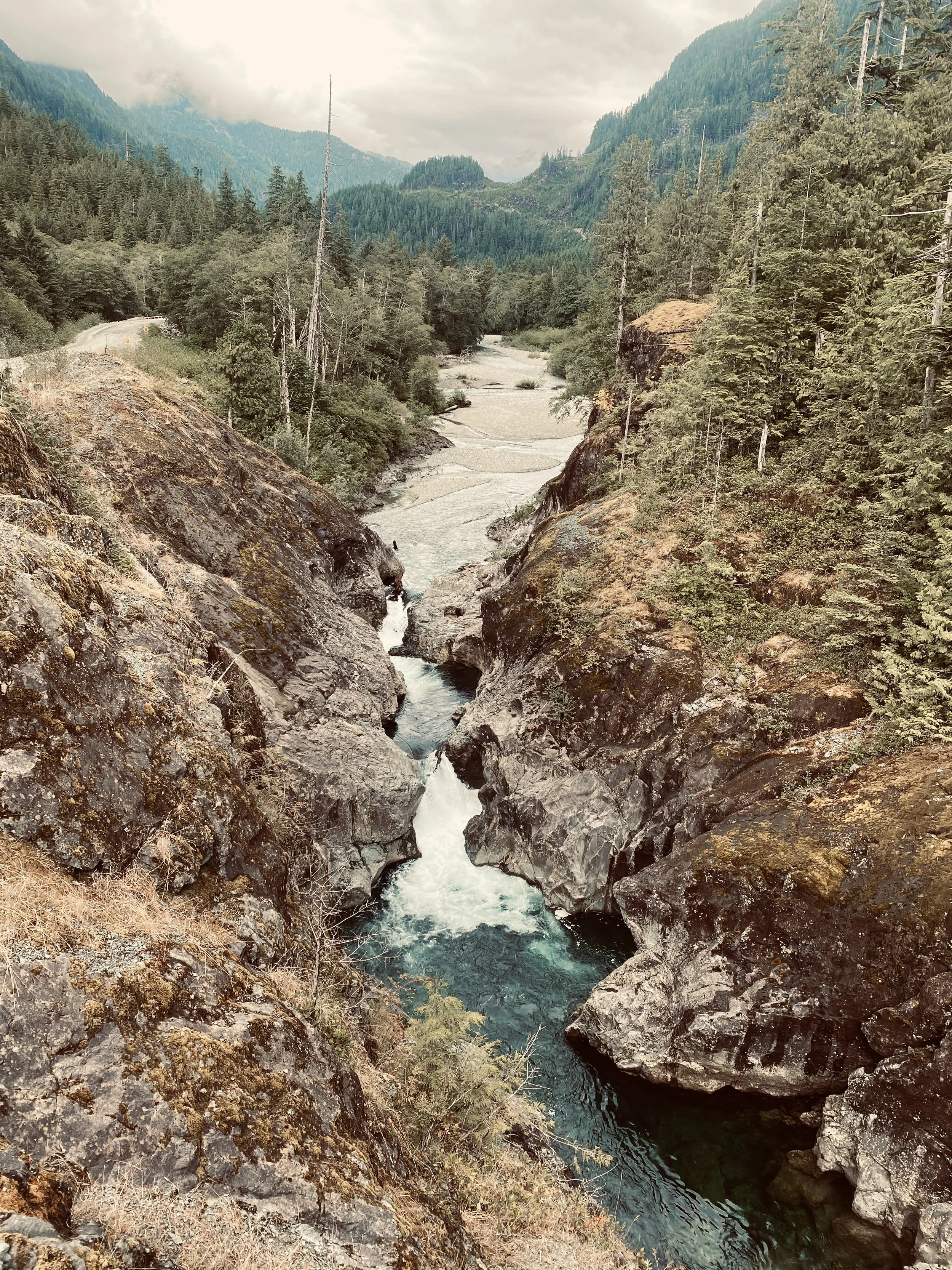 A mountain river flowing through a rocky canyon surrounded by dense evergreen trees, with mountains and cloudy sky in the background.