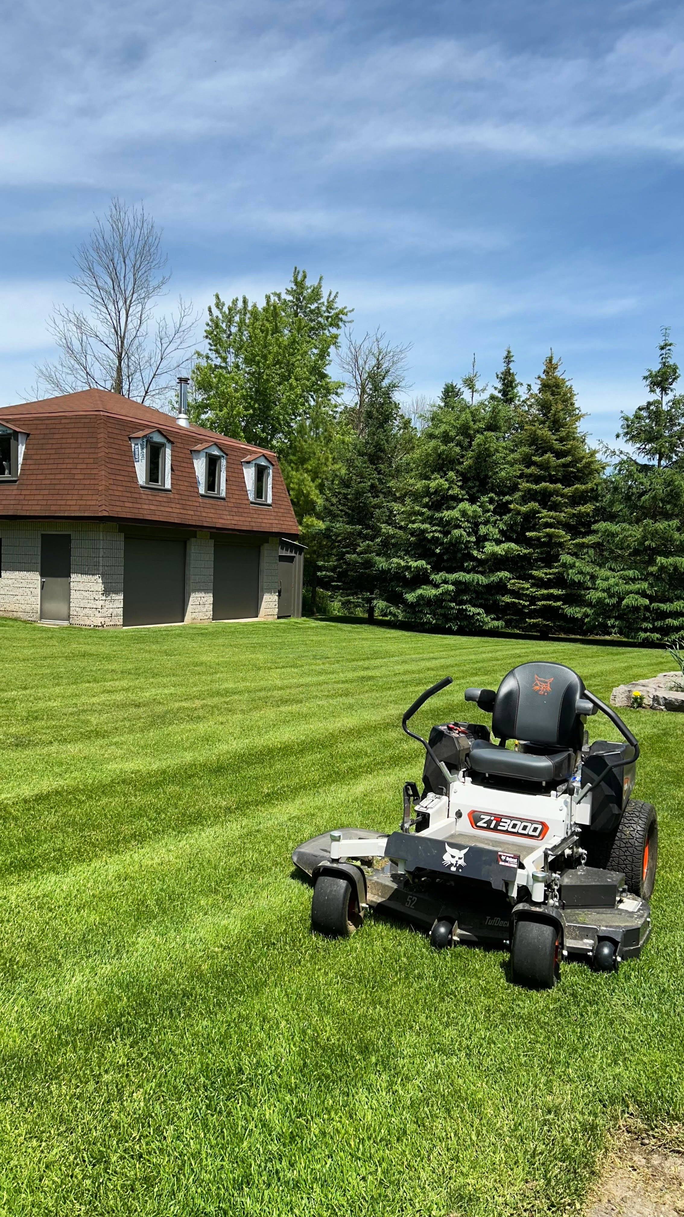 grass with bobcat.jpg