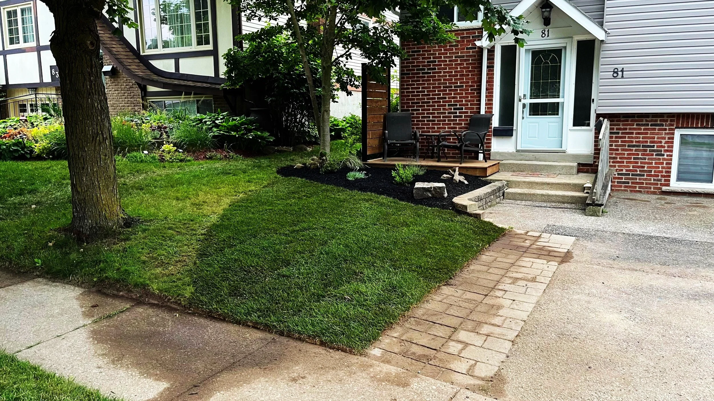 front yard redo.jpg