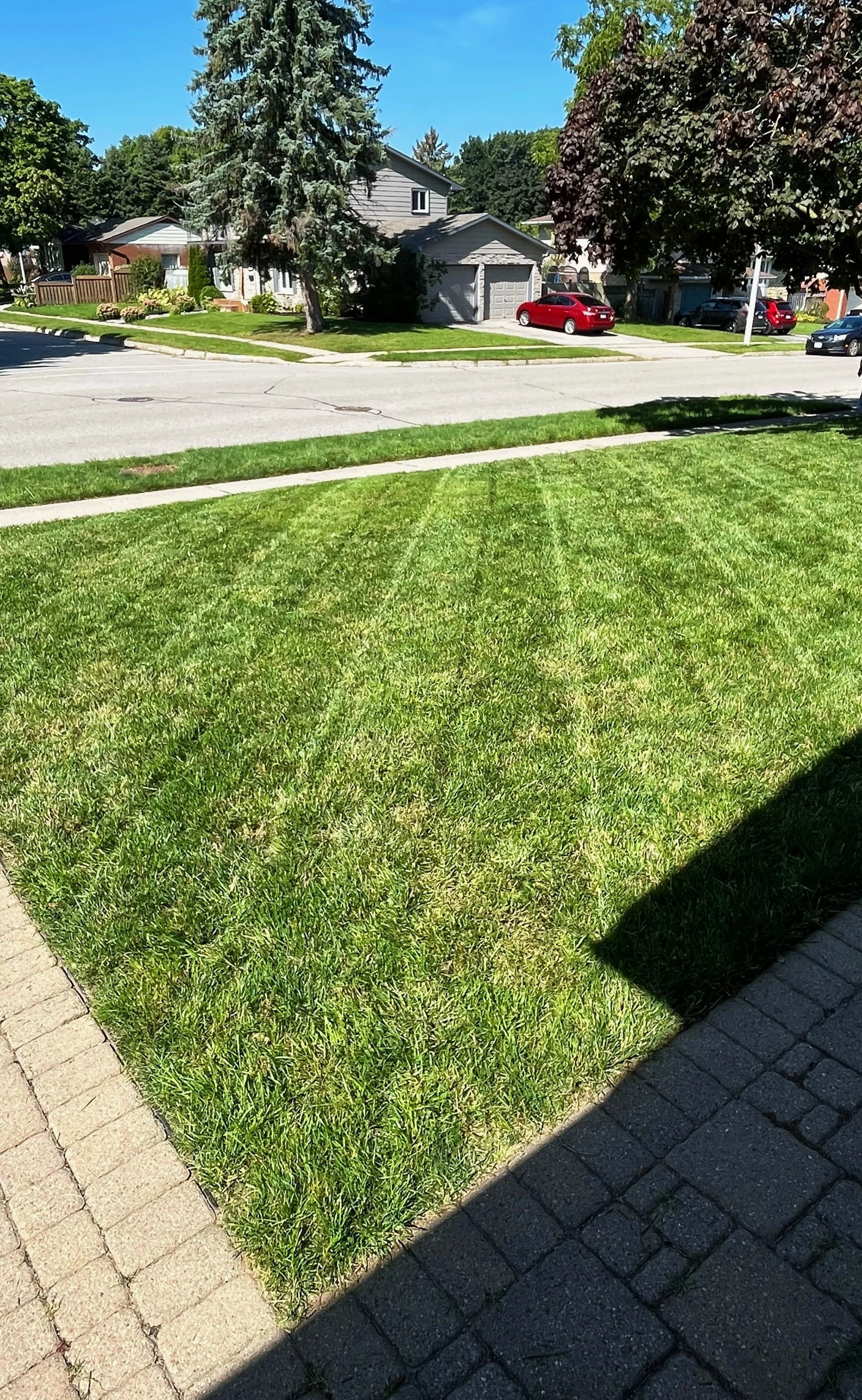 78 inverrness lines grass.jpg