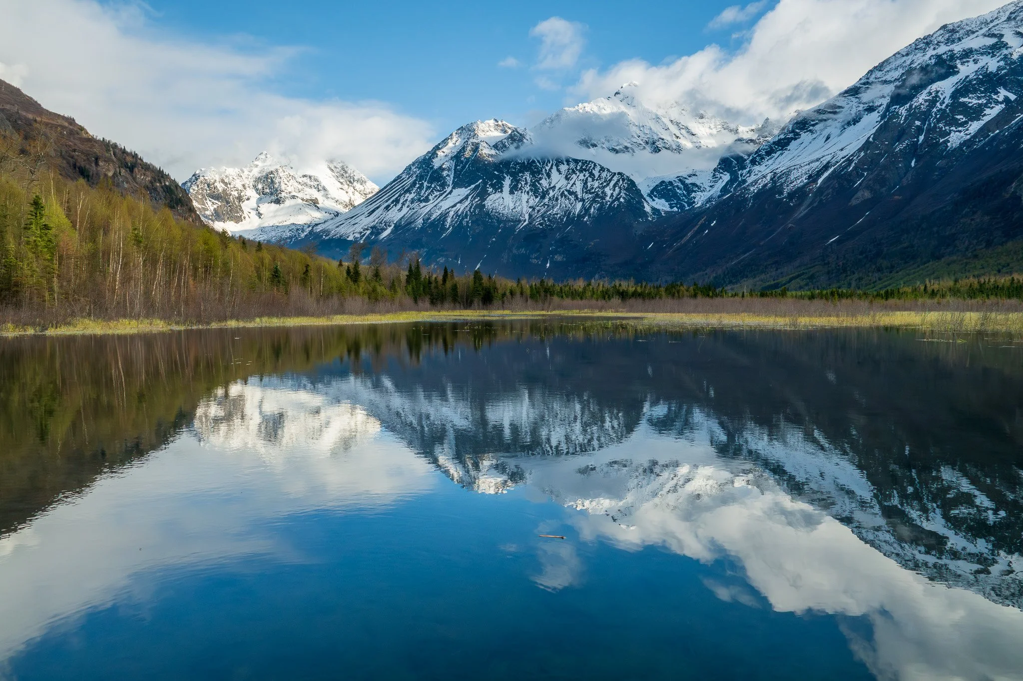 A rare, calm spring day showcases the reflections of towering mountains on beaver wetland (left to right: Polar Bear Peak, Raptor Peak, Eagle Peak, and Hurdy-Gurdy), in Eagle River, Alaska.