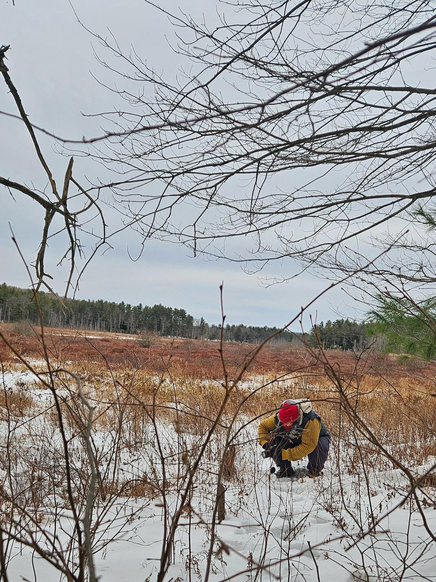 A little behind the scenes look at conservation photography 📸🌲

Sometimes you&rsquo;re on tropical islands, sometimes you&rsquo;re standing in a stream or balanced carefully on thin ice over a swamp with temps in the teens 🥶

This was an incredibl