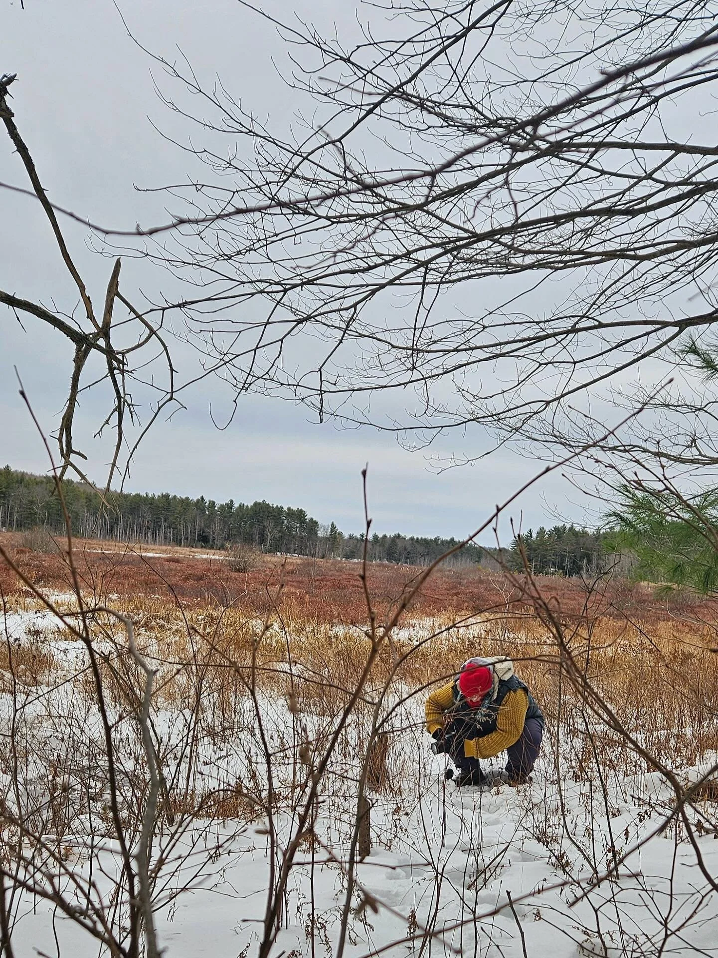 A little behind the scenes look at conservation photography 📸🌲

Sometimes you&rsquo;re on tropical islands, sometimes you&rsquo;re standing in a stream or balanced carefully on thin ice over a swamp with temps in the teens 🥶

This was an incredibl