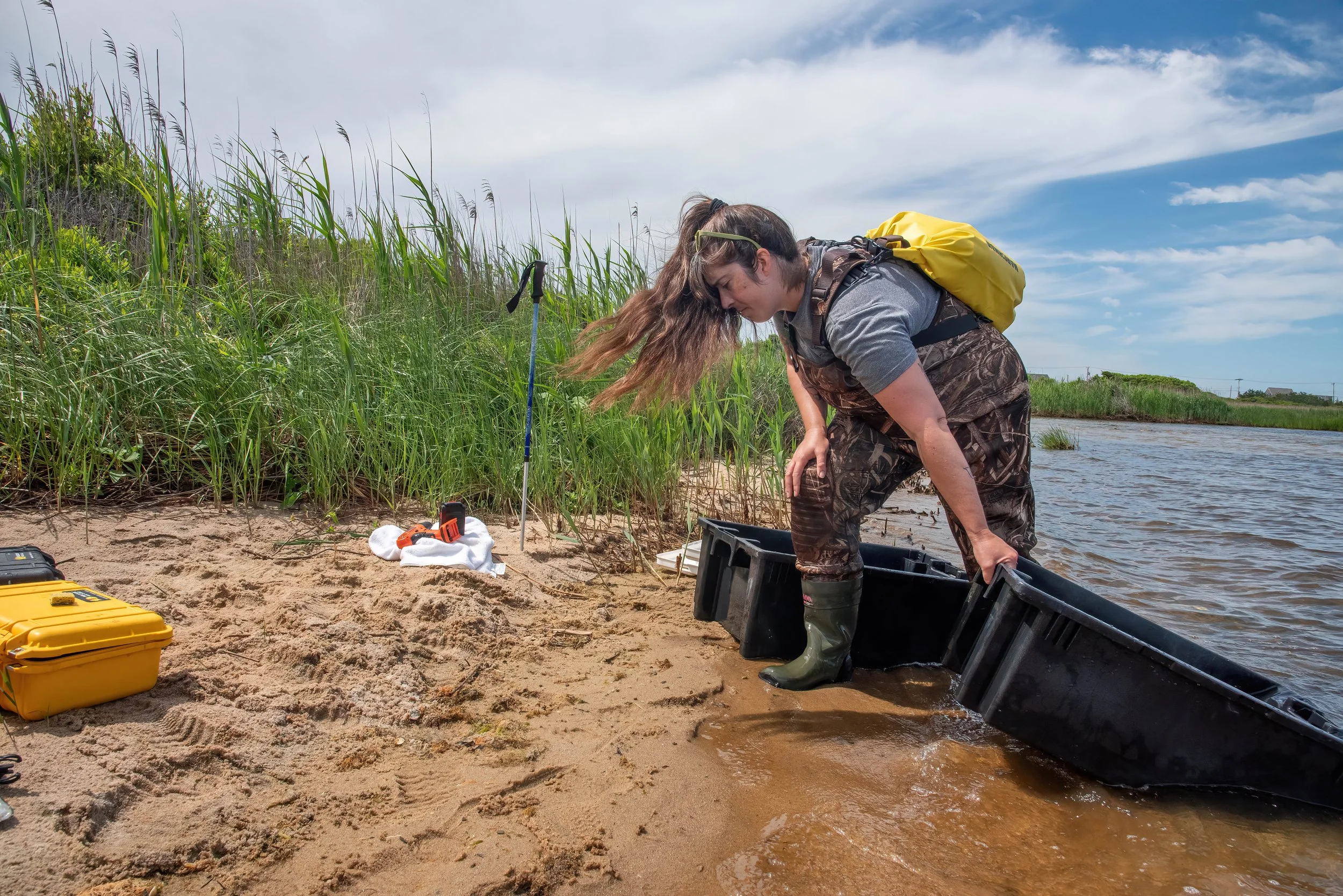 Kelly moves her monitoring gear to another site along East Harbor’s shore. There is
no road or pathway, so all gear must be floated in as scientists and volunteers walk
through the estuary on foot.