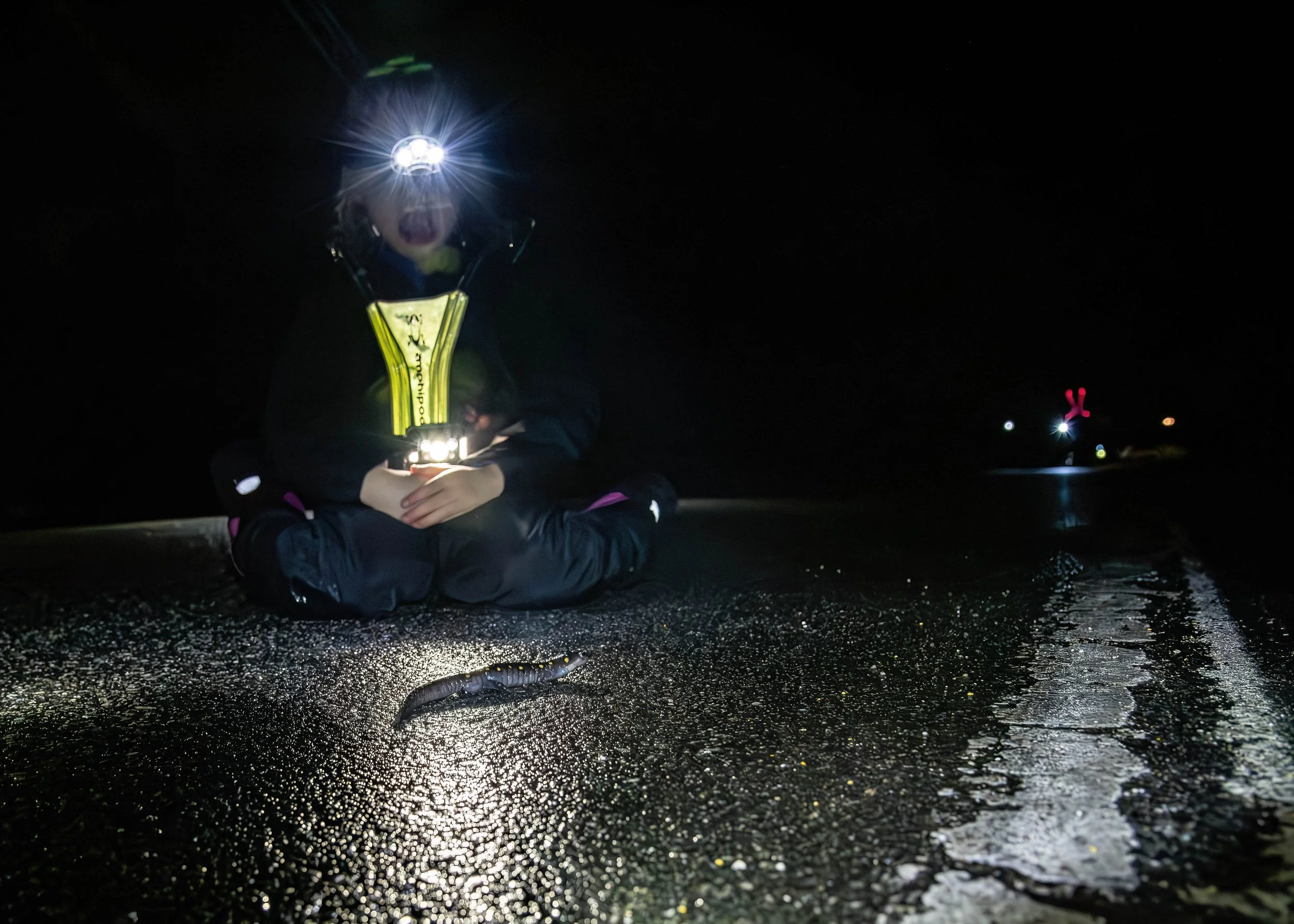 One of the student volunteers sees her first ever Yellow Spotted Salamander.
