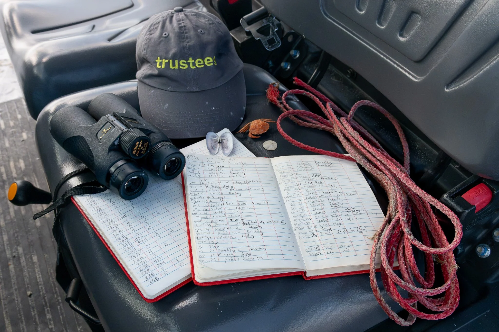 Tools of the trade for shorebird conservation work.