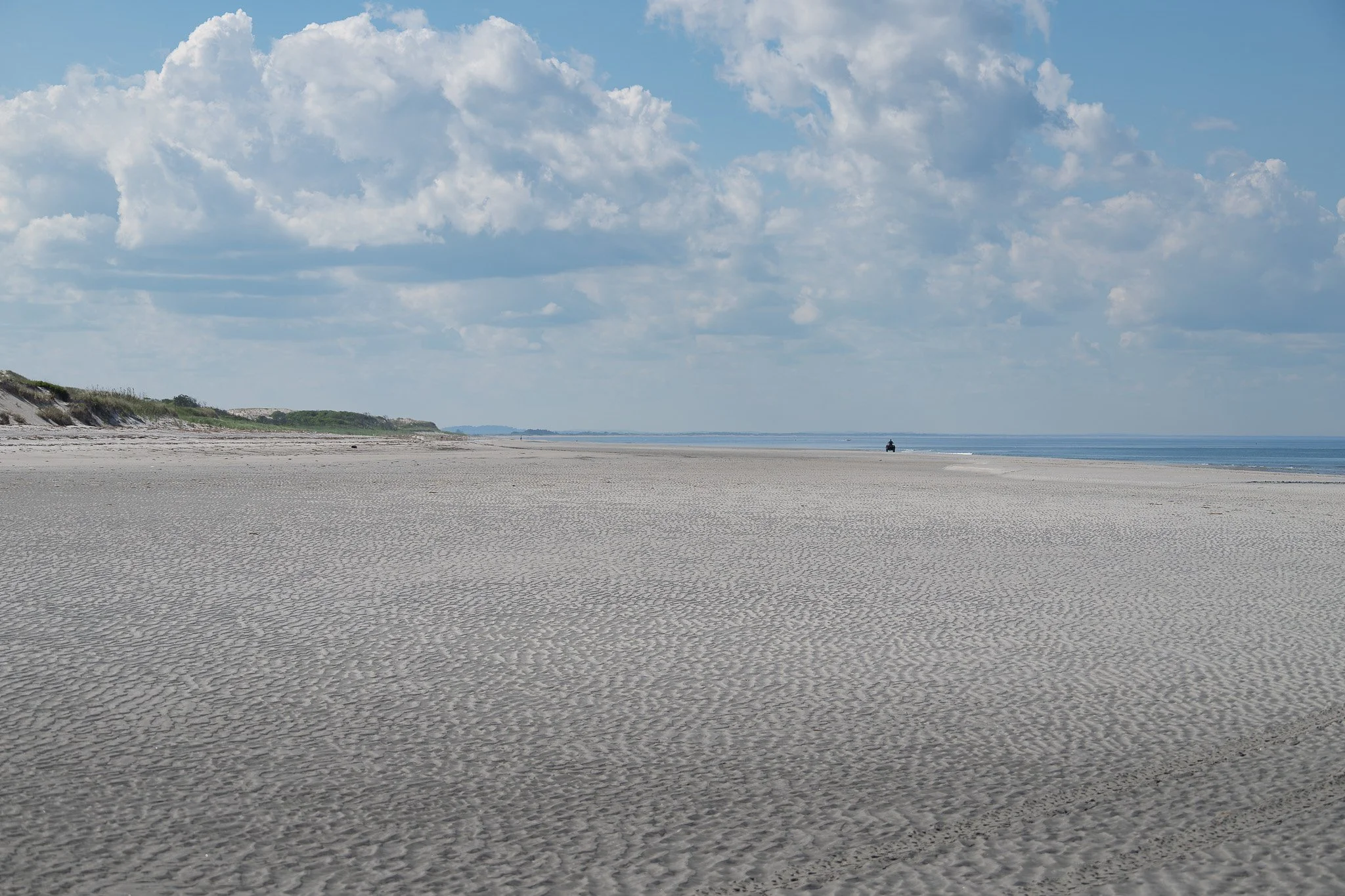 Low tide exposing acres of prime foraging habitat at Crane Beach, with a research vehicle on the far right for scale.