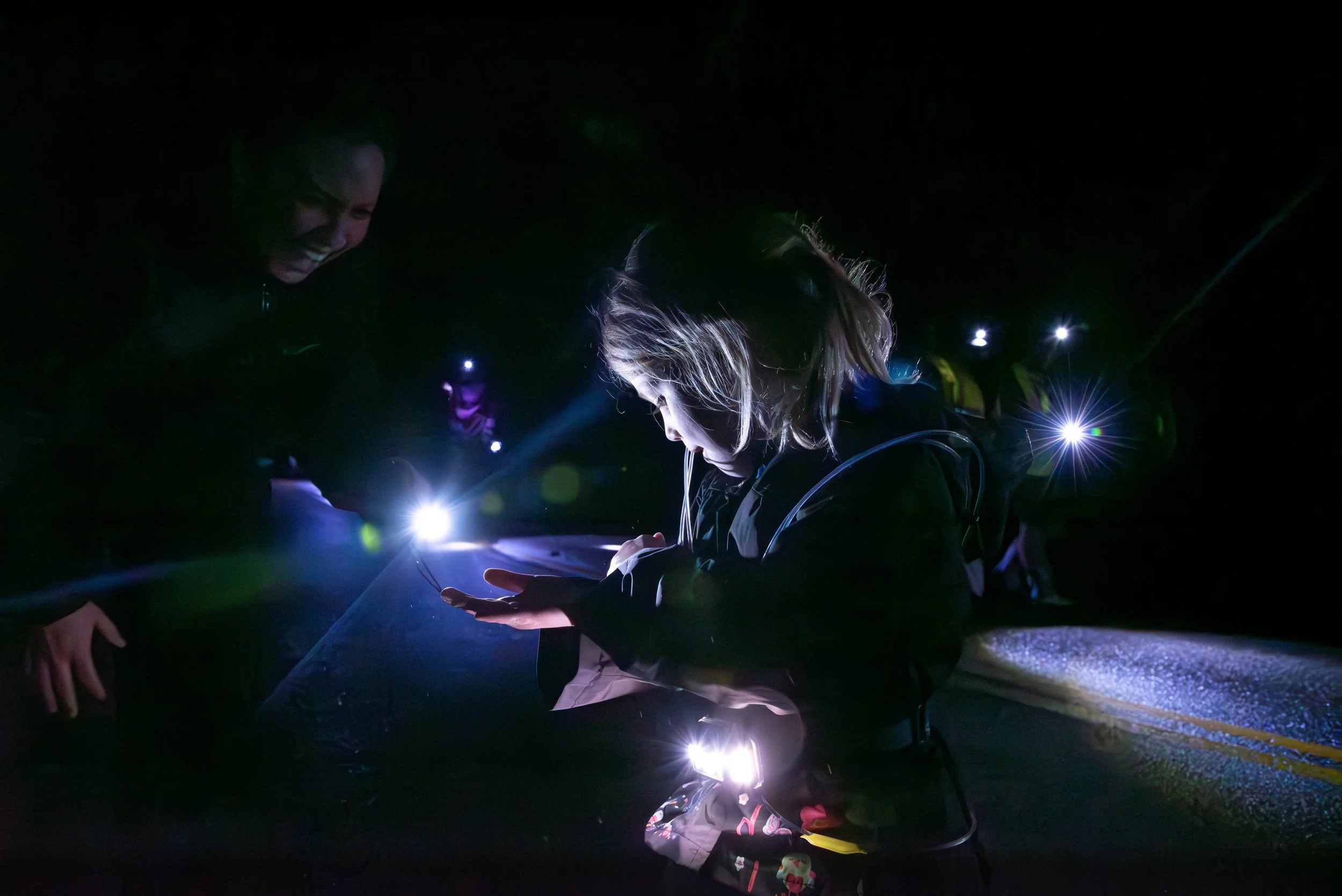 One of the student volunteers learns how to safely cross frogs across the closed roads.