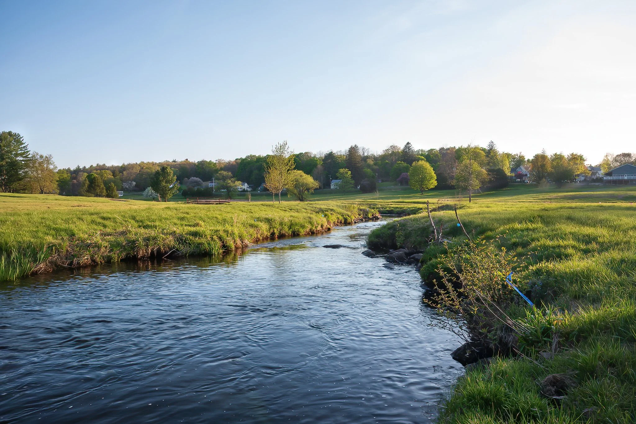 Beaver Brook meanders through what was once a golf course at sunset, now sporting replanted native shrubs and other plant species along its banks.