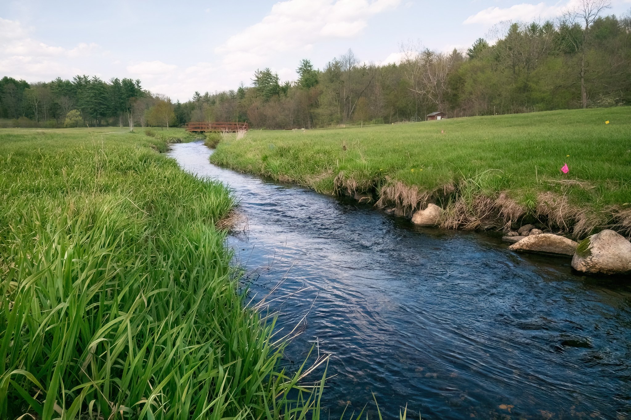 Beaver Brook runs freely with spring rain and snow melt through the recovering golf course.