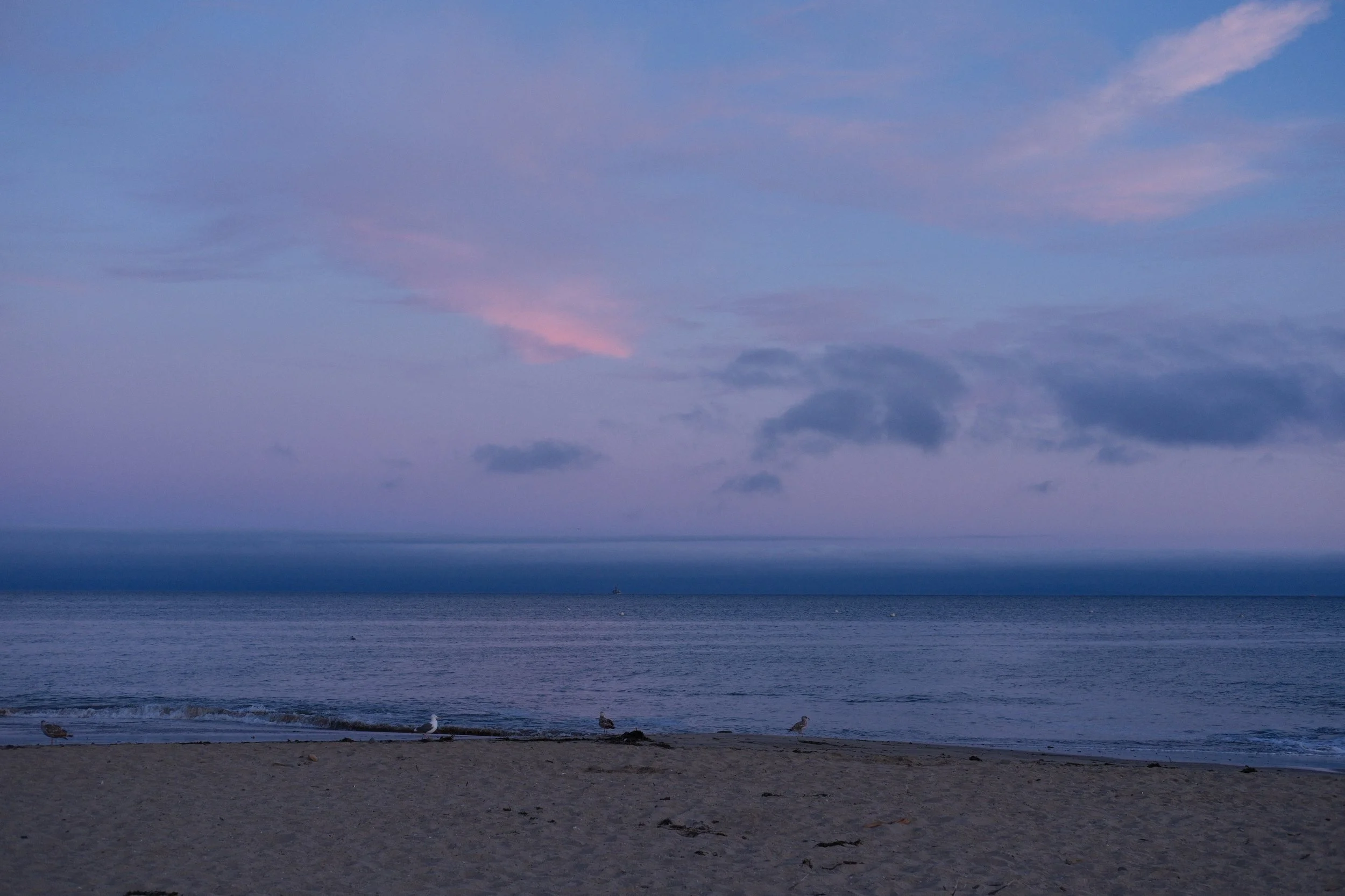 DSCF1761.jpg