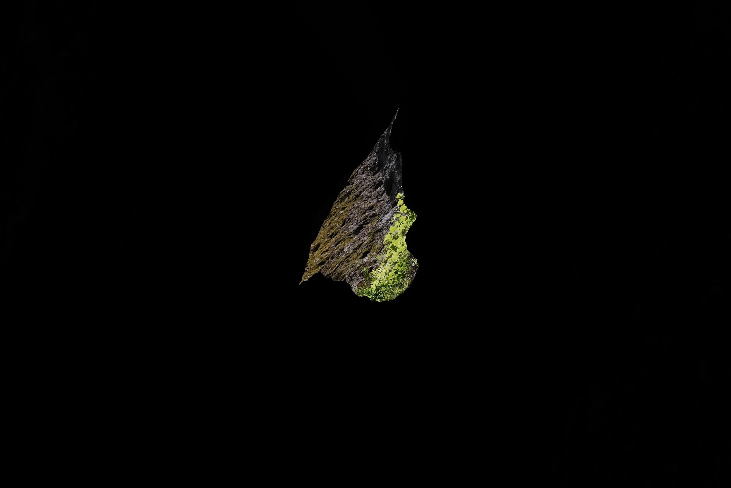 DSCF7657.jpg