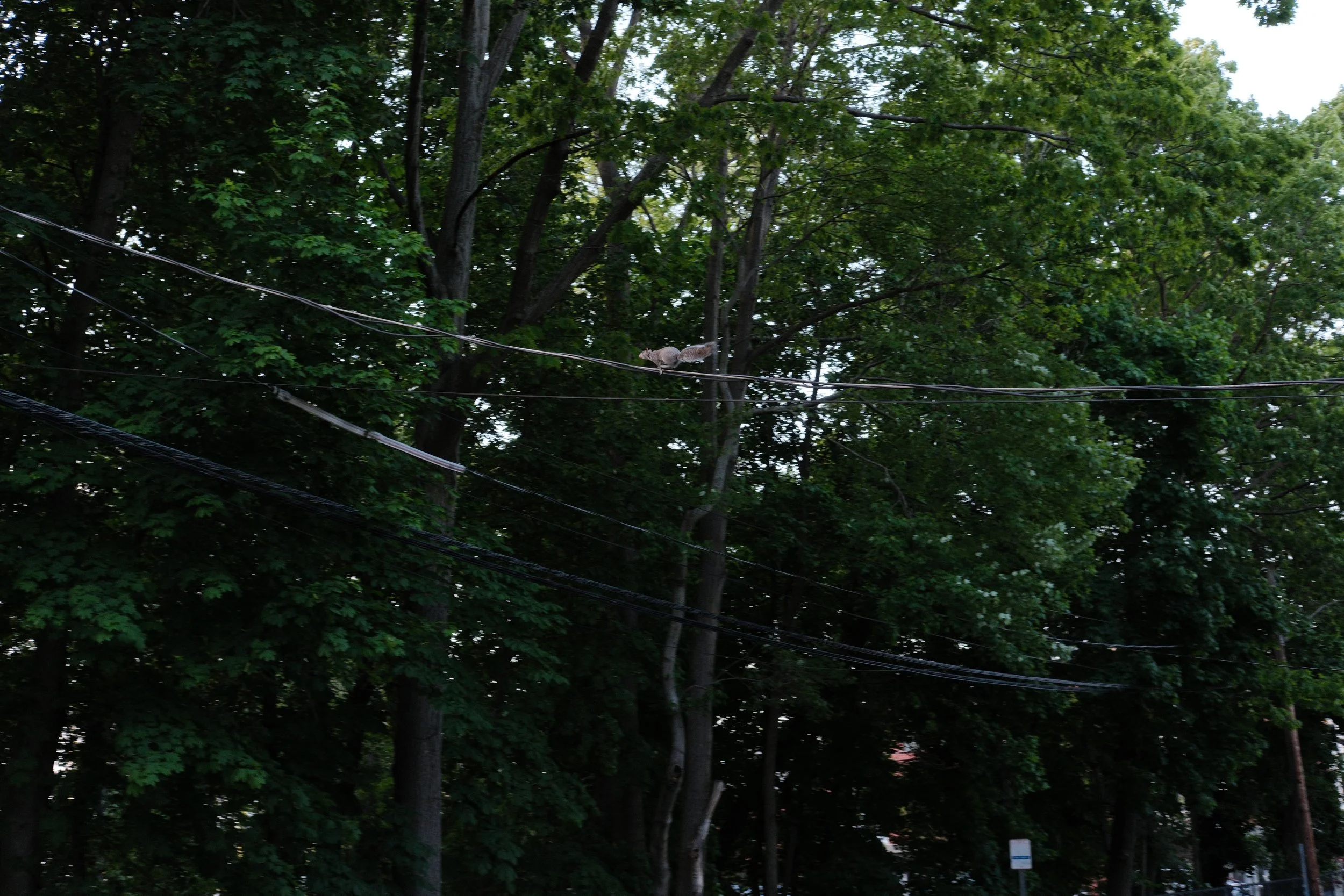 DSCF1579.jpg