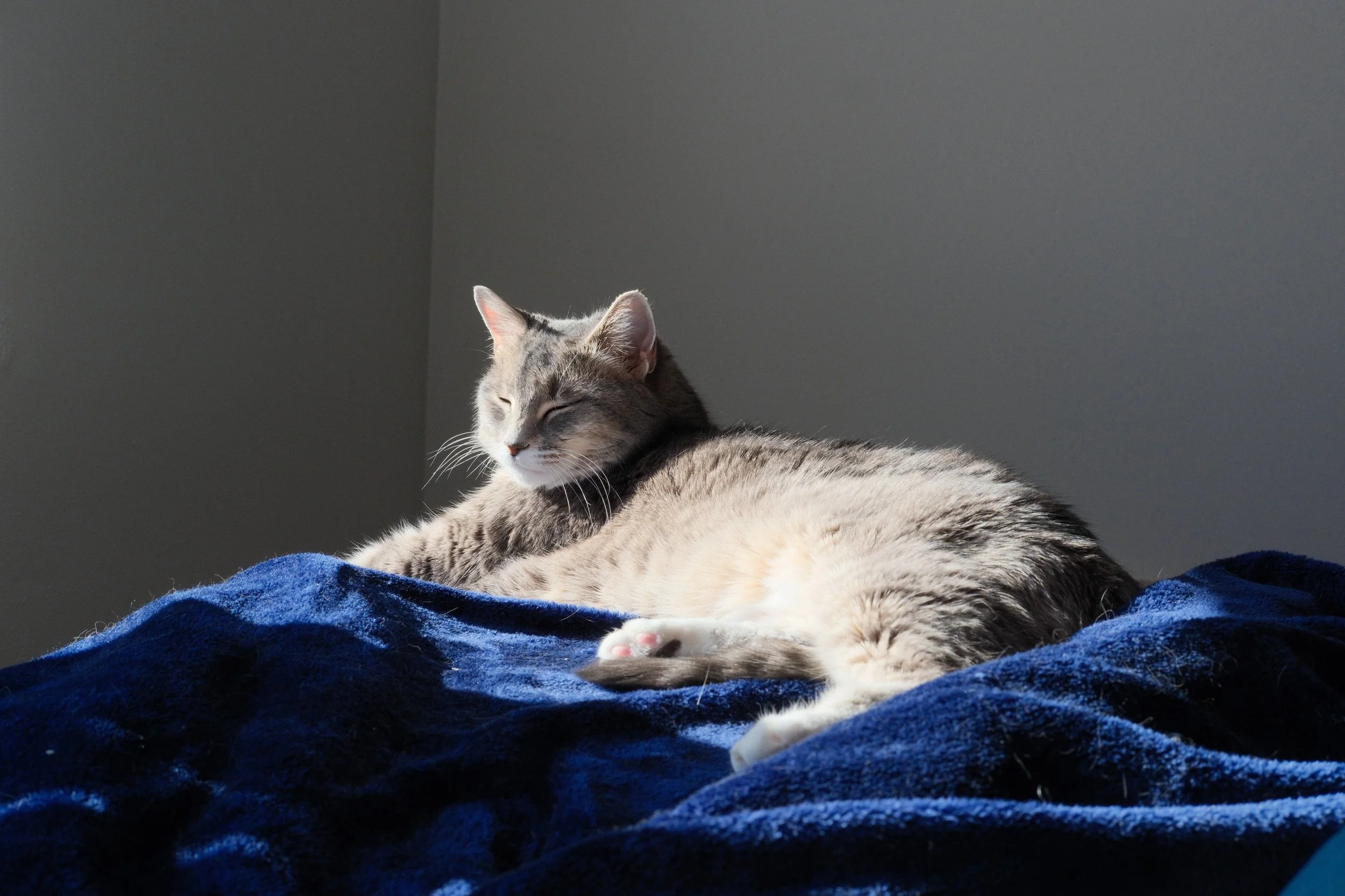 DSCF2941.jpg