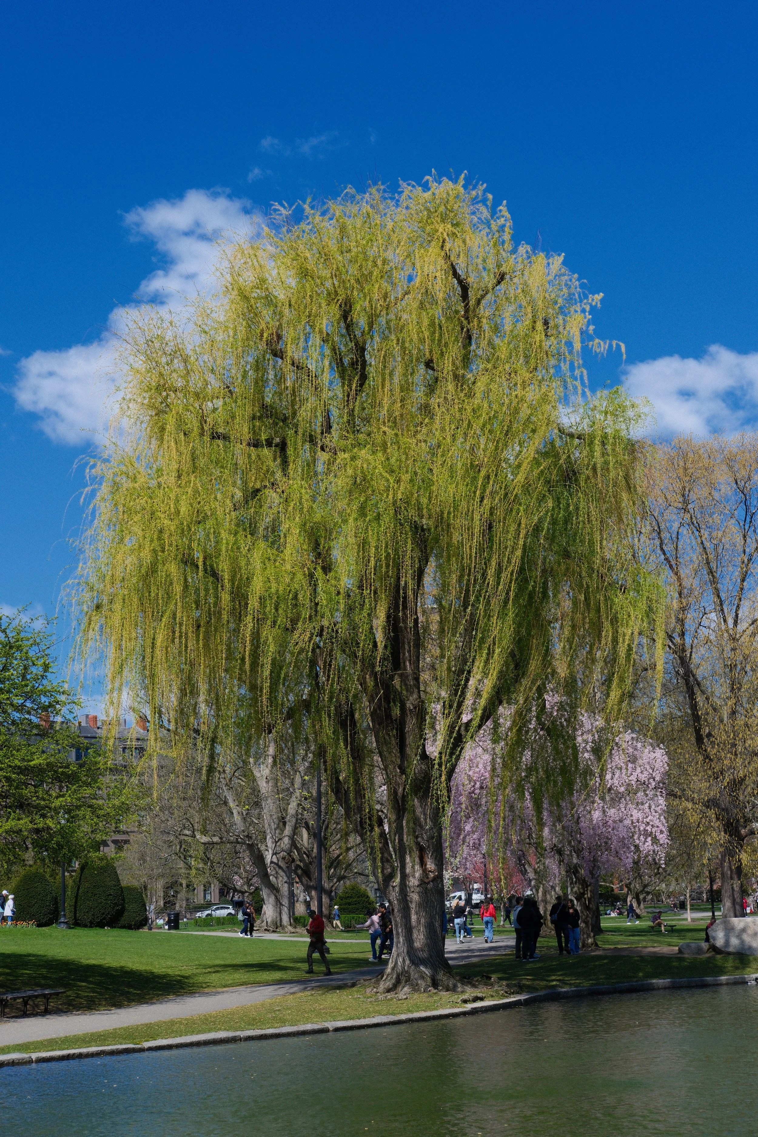 DSCF3550.jpg