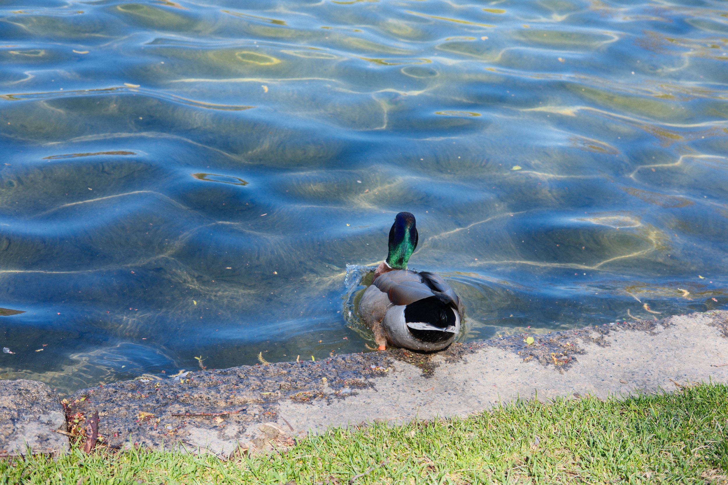 DSCF3507.jpg
