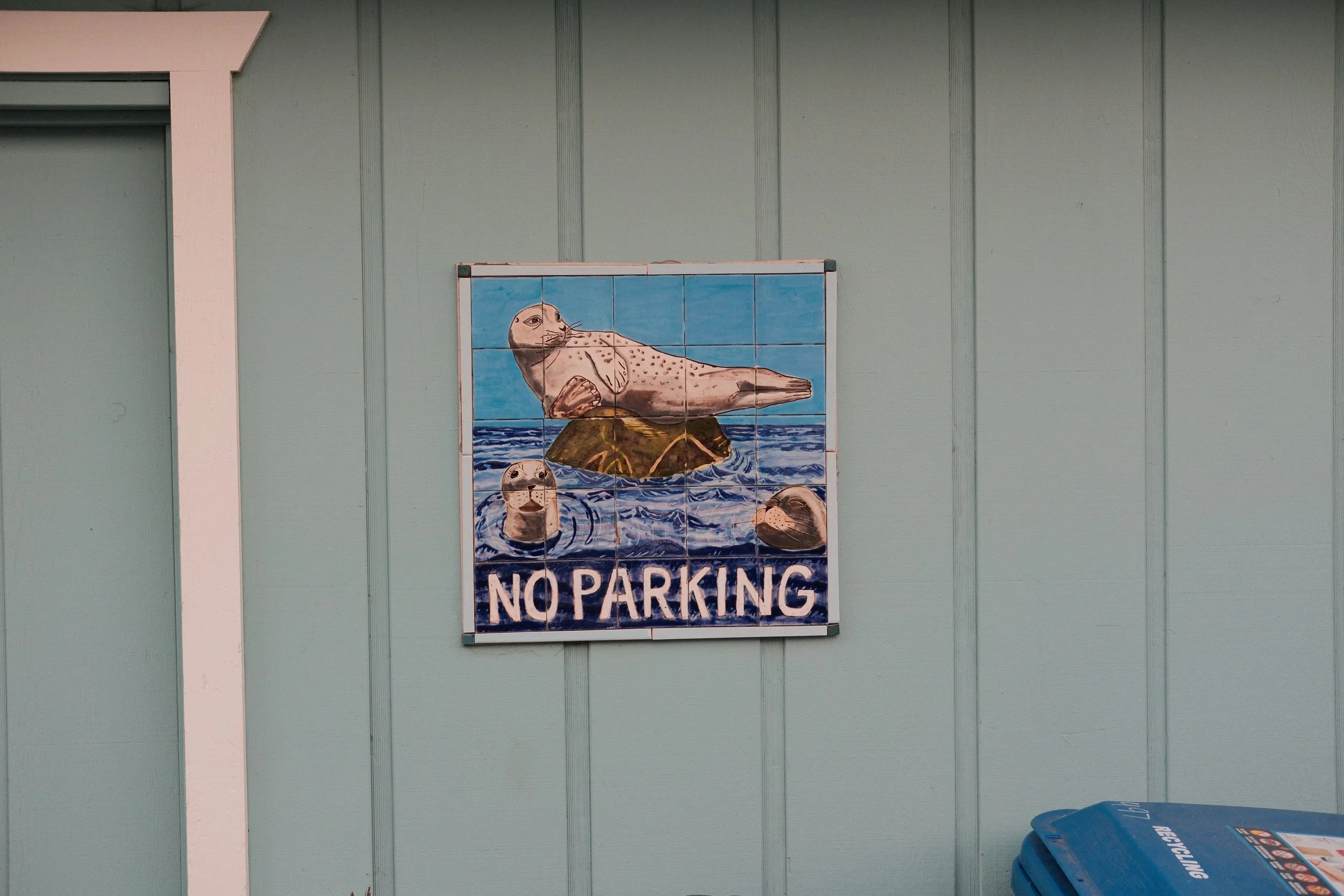 DSCF1752.jpg