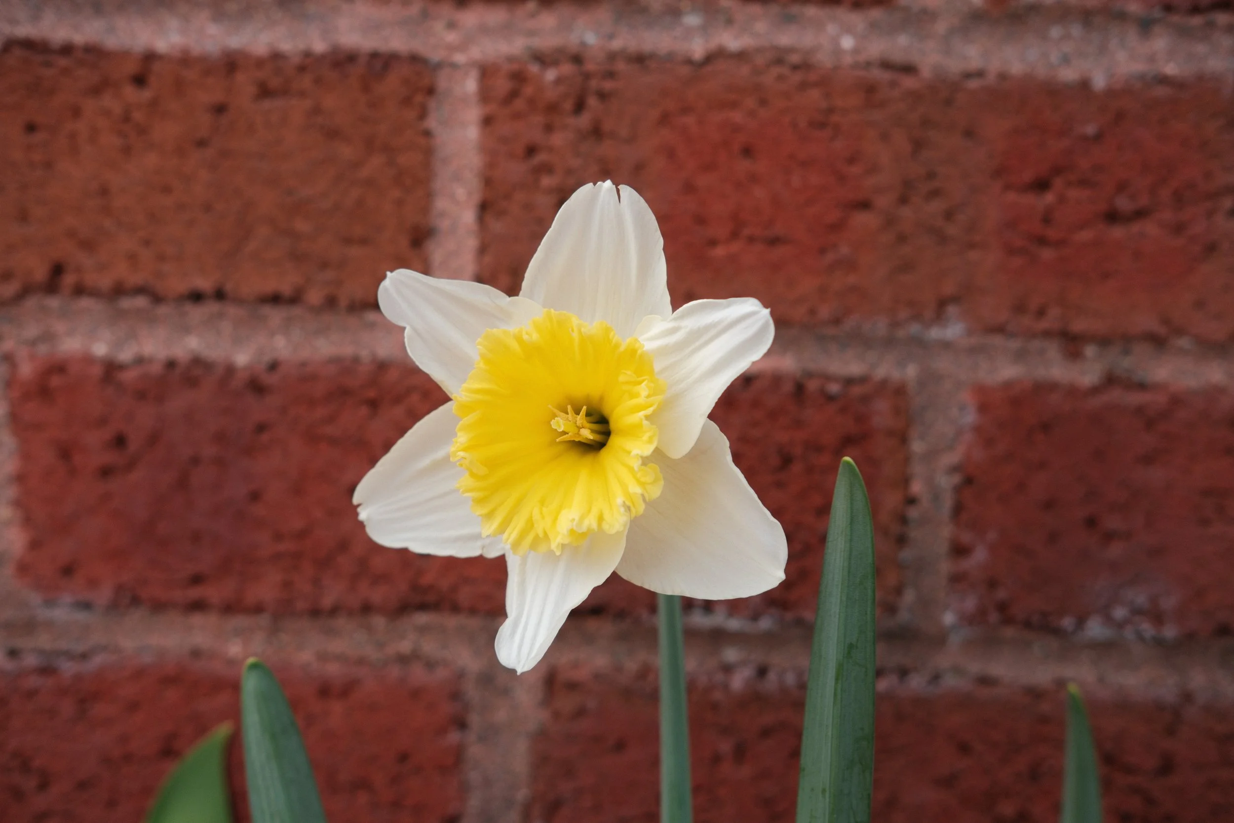 DSCF1518.jpg