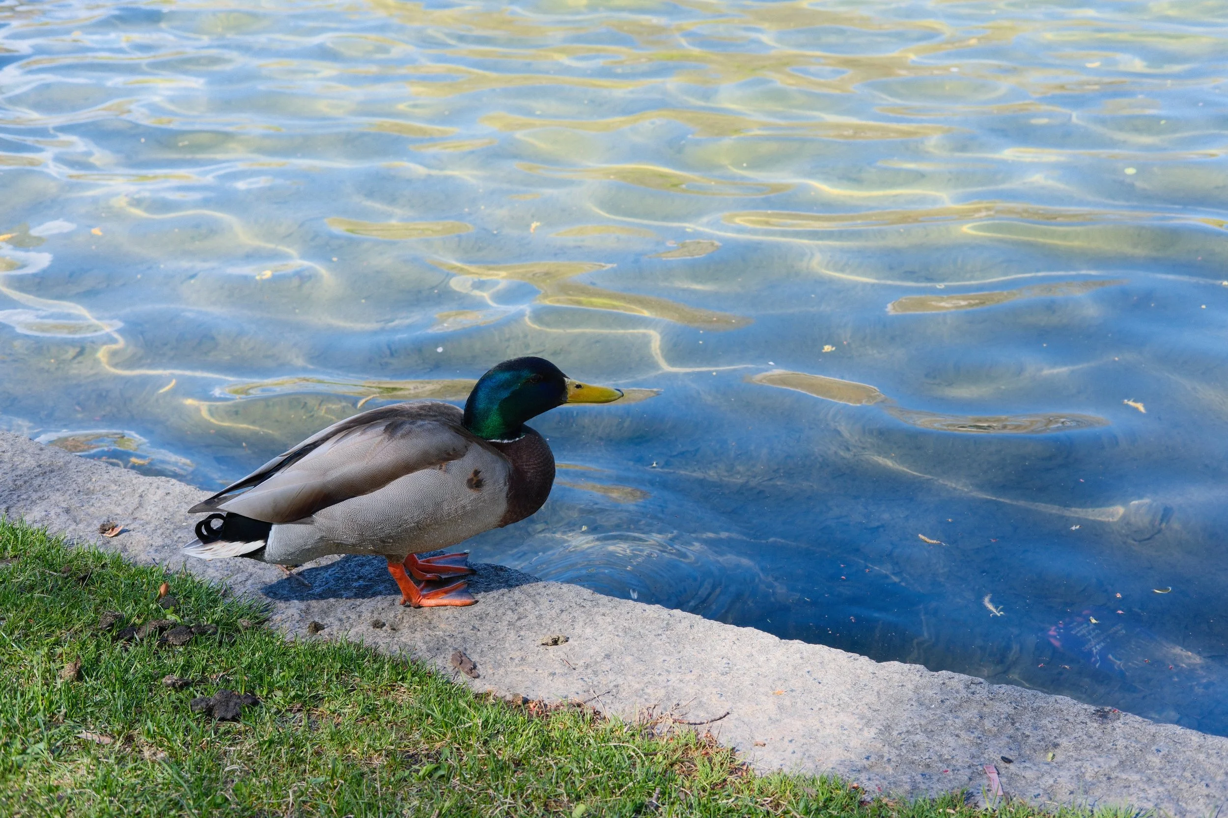 DSCF3498.jpg