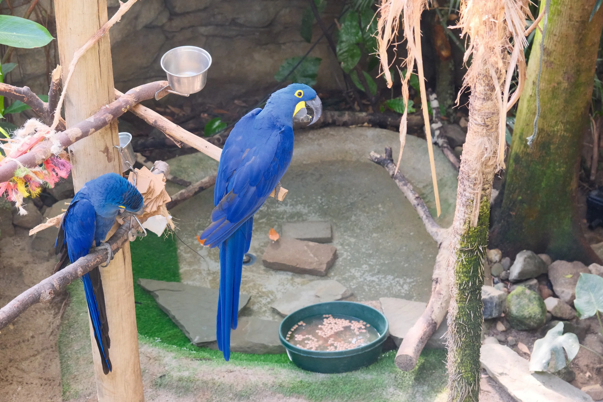 DSCF3157.jpg