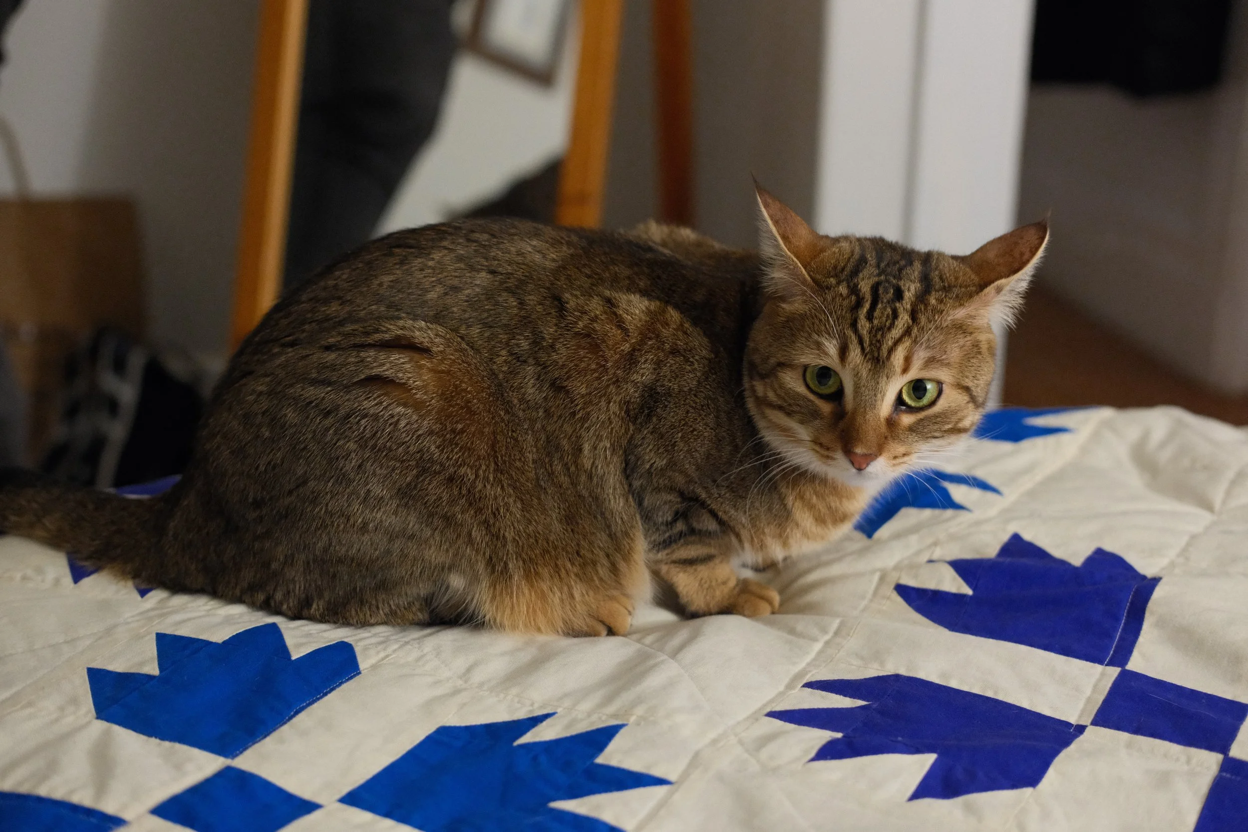 DSCF2874.jpg
