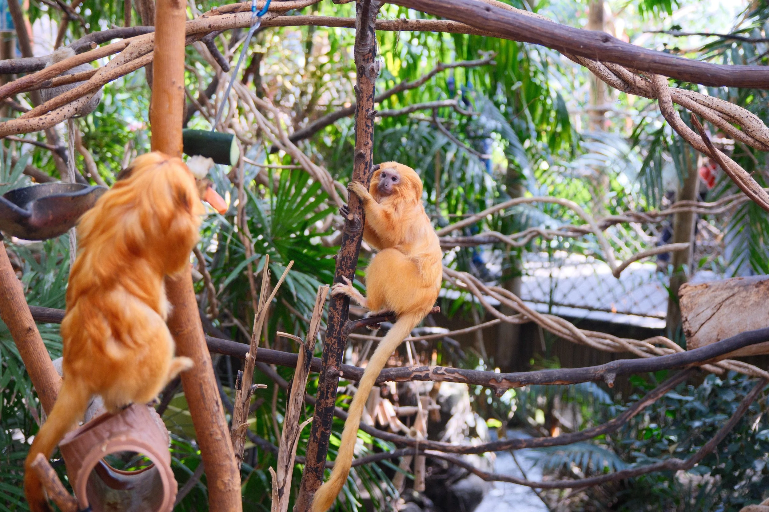 DSCF3145.jpg