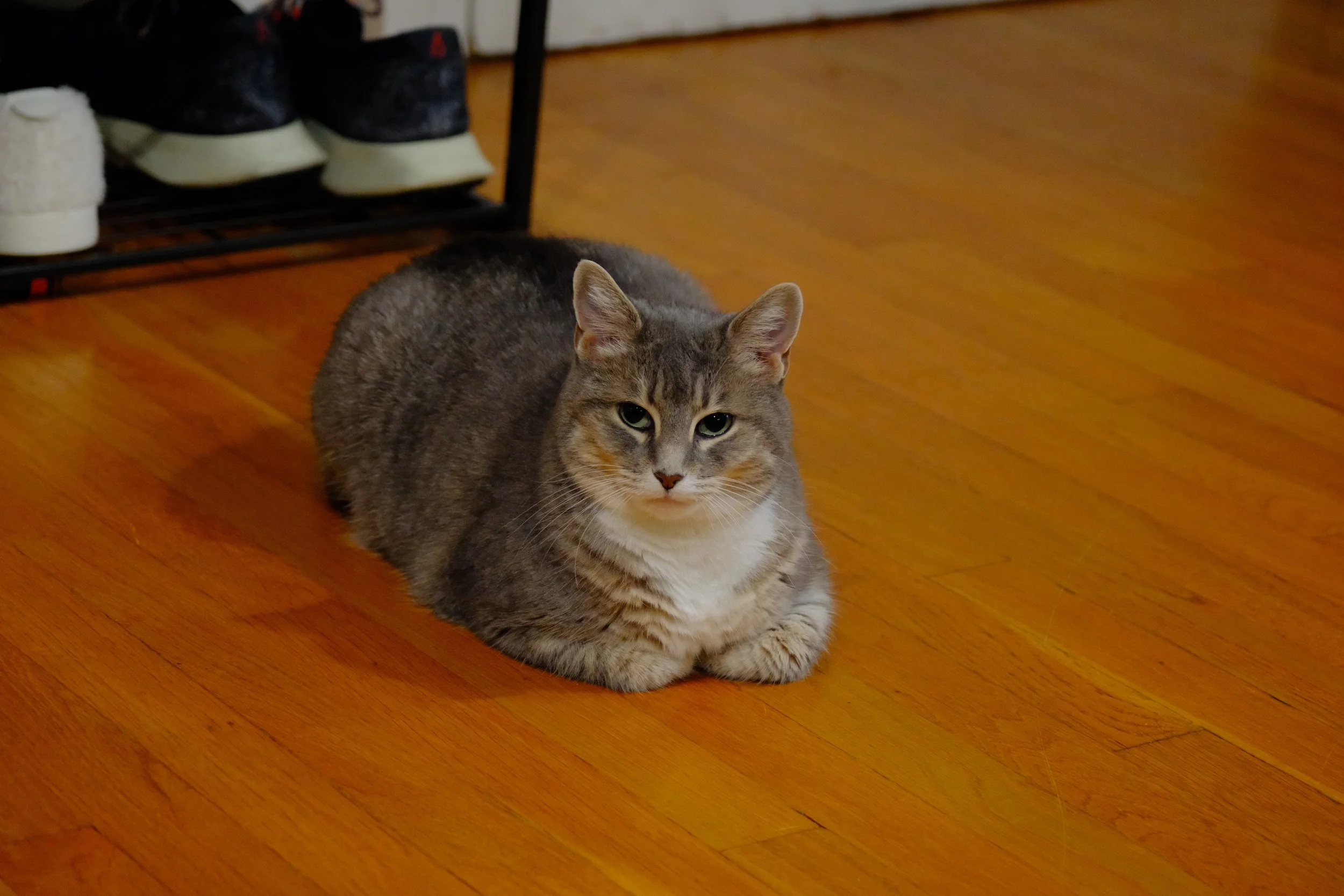 DSCF0117.jpg