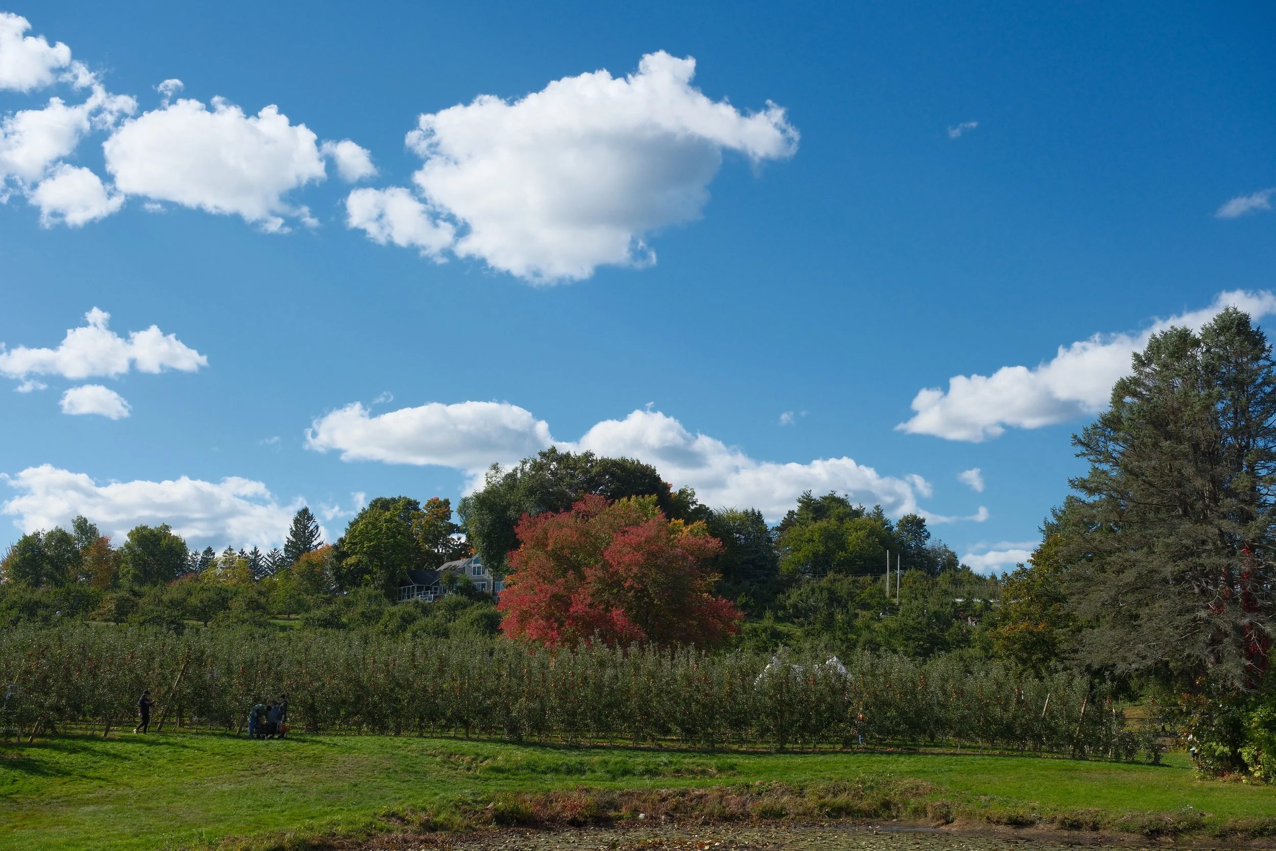DSCF0164.jpg