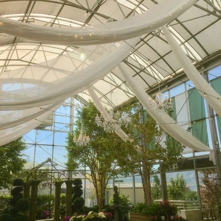 Cactus & Tropicals.JPG