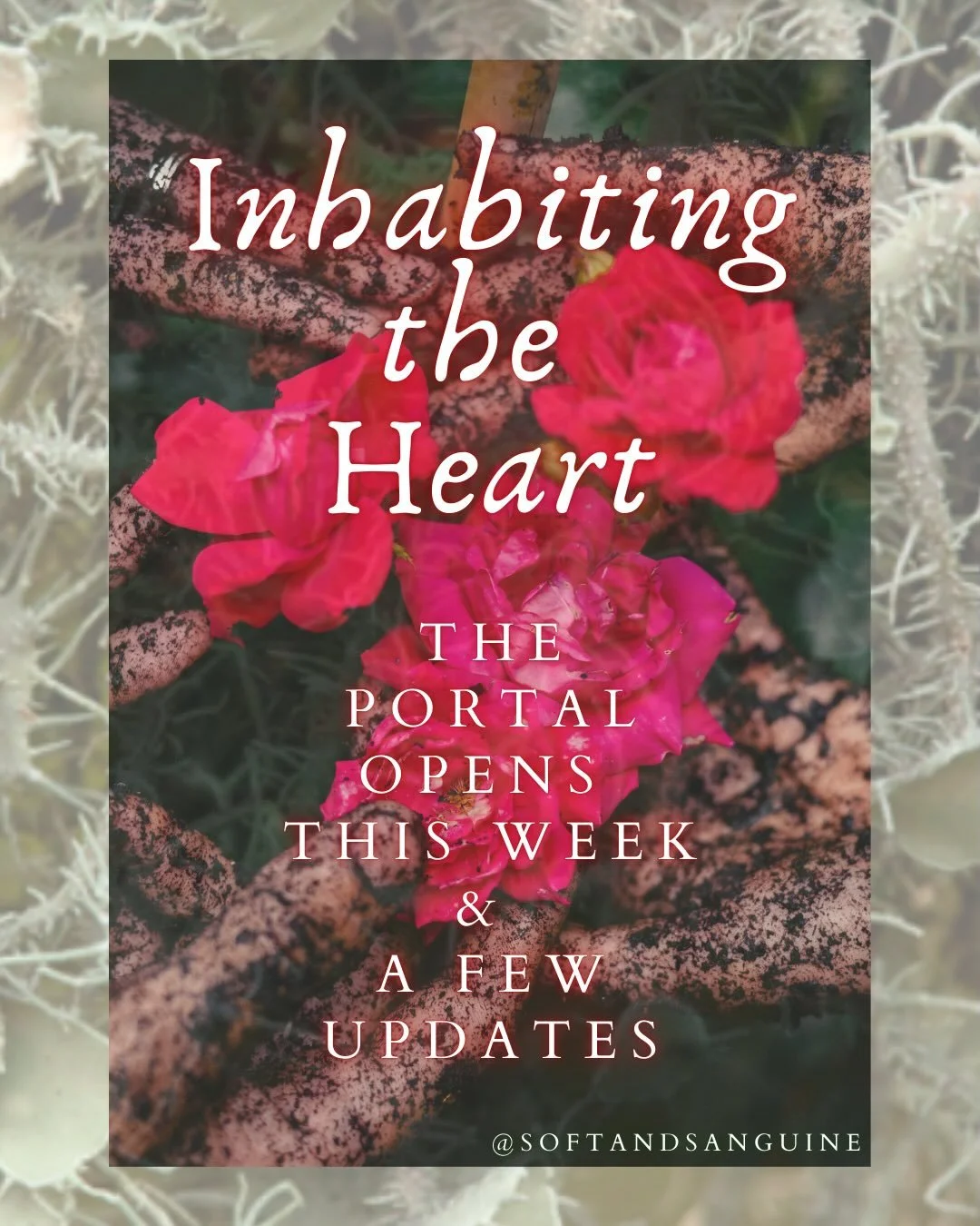 🫀The portal to join Inhabiting the Heart opens this week 

🫀Inhabiting the Heart is a 6-week virtual space to practice Yoga Nidra - also known as &ldquo;yogic sleep&rdquo;. While this space is designed to offer relaxation, we are also anchoring in 