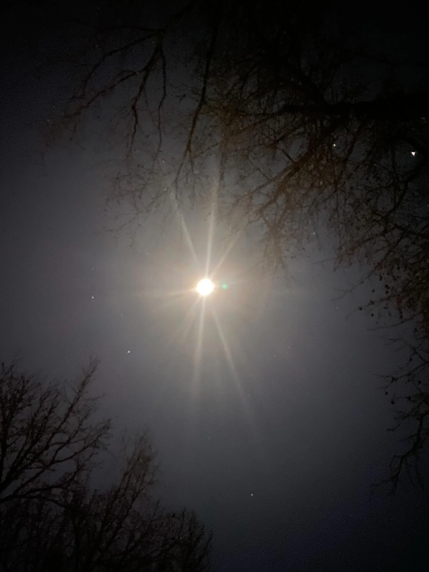 🌈Thursday photo share from the week 

🌈I woke up with Rockabye in my head this morning and it felt like it was sent by my grandmother. My grandmother who immigrated to Trinidad, and then to the US. My grandmother, who was not allowed to have access