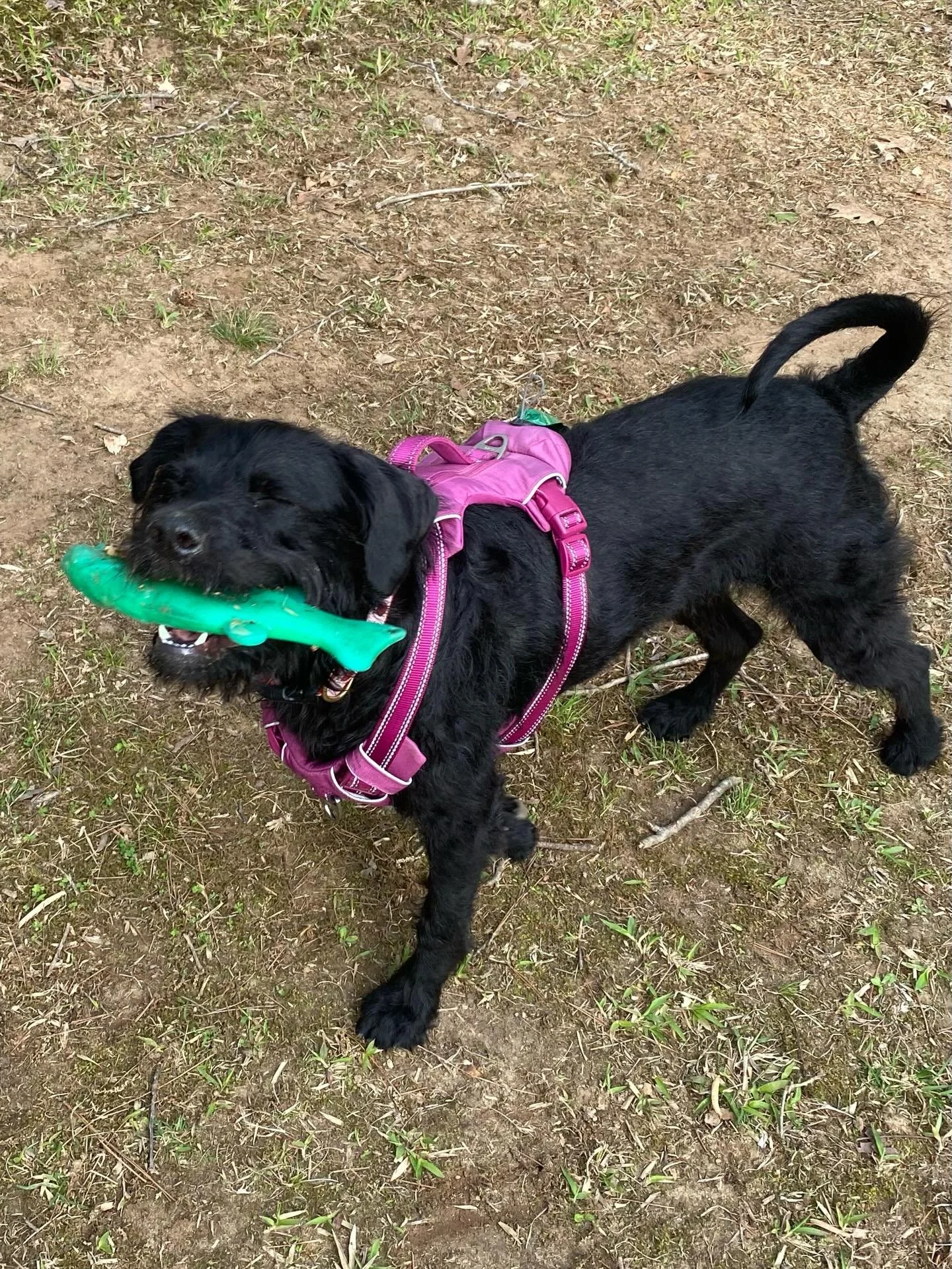 🌈 Friday photo dump 🌈
&bull;
&bull;
&bull;
#smalljoys #presence #spring #spiritualjourney #grateful