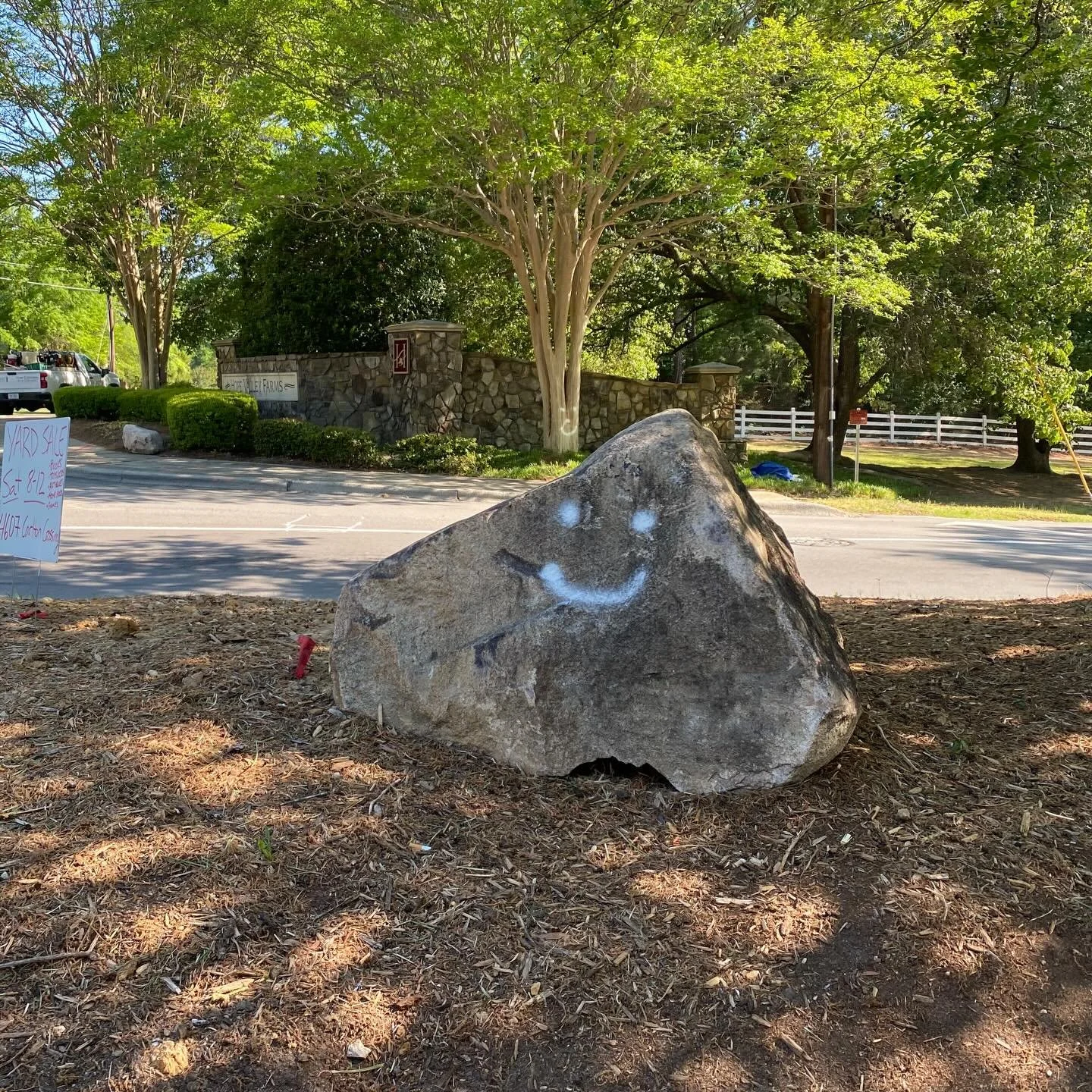 🌈Friday photo dump 

🌈 Critters, light play, and other moments of joy 

🌈 What&rsquo;s lit you up this week? 😍
&bull;
&bull;
&bull;
#joy #nature #northcarolina #grateful #presence