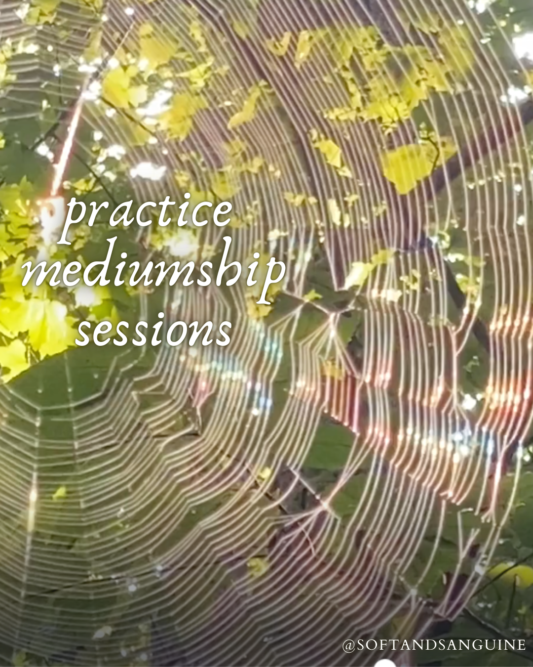 practice mediumship sessions pg 1.png