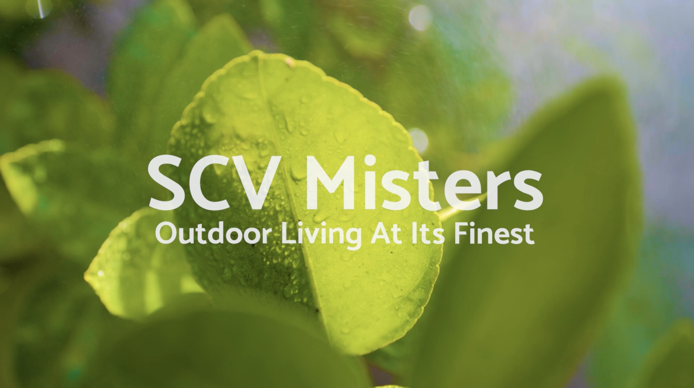 Screenshot 2024-06-12 at 9.35.16 AM.png