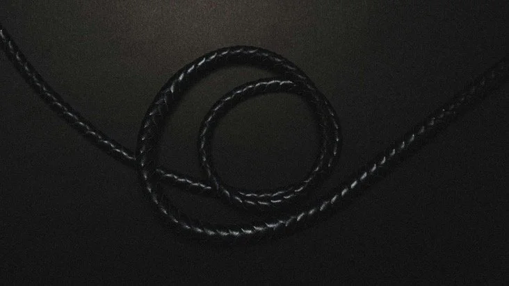 bdsm whip