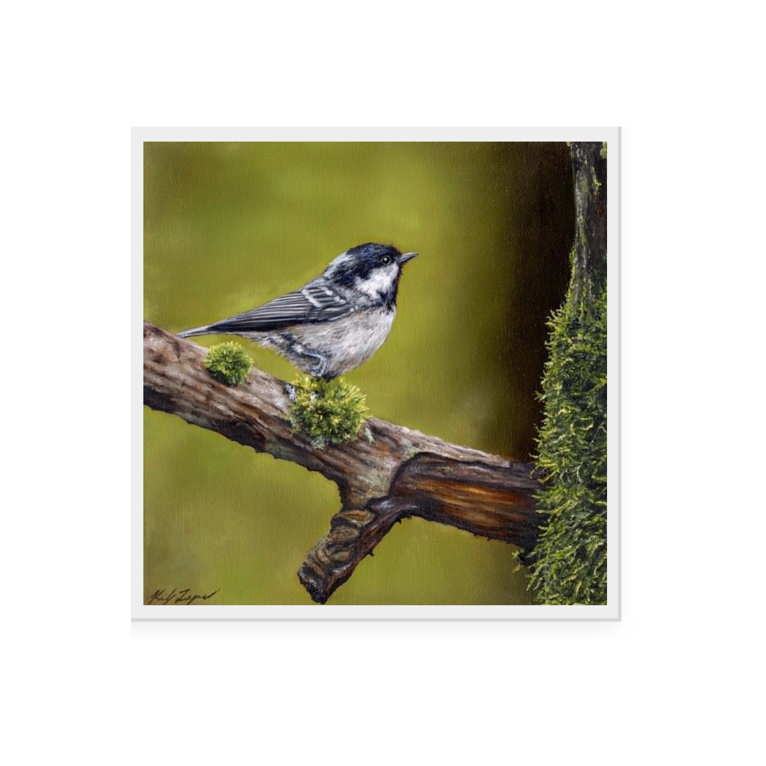 "Coal Tit" 12 x 12 Print