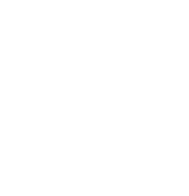 brainyactz