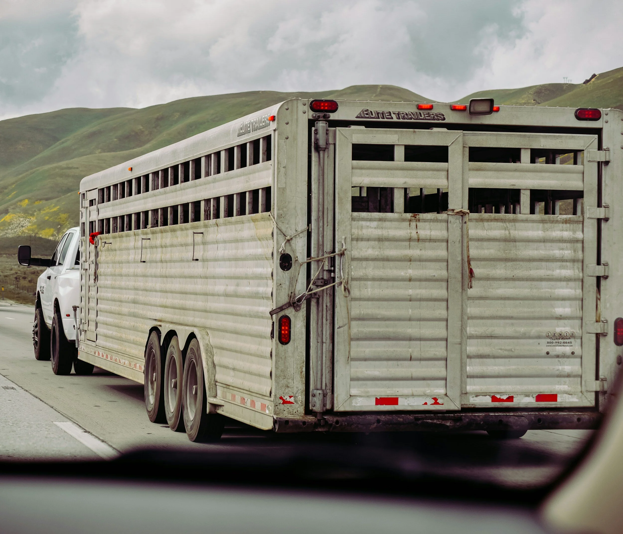 A white pickup truck pulling a large, metal livestock trailer on a highway with green hills in the background.