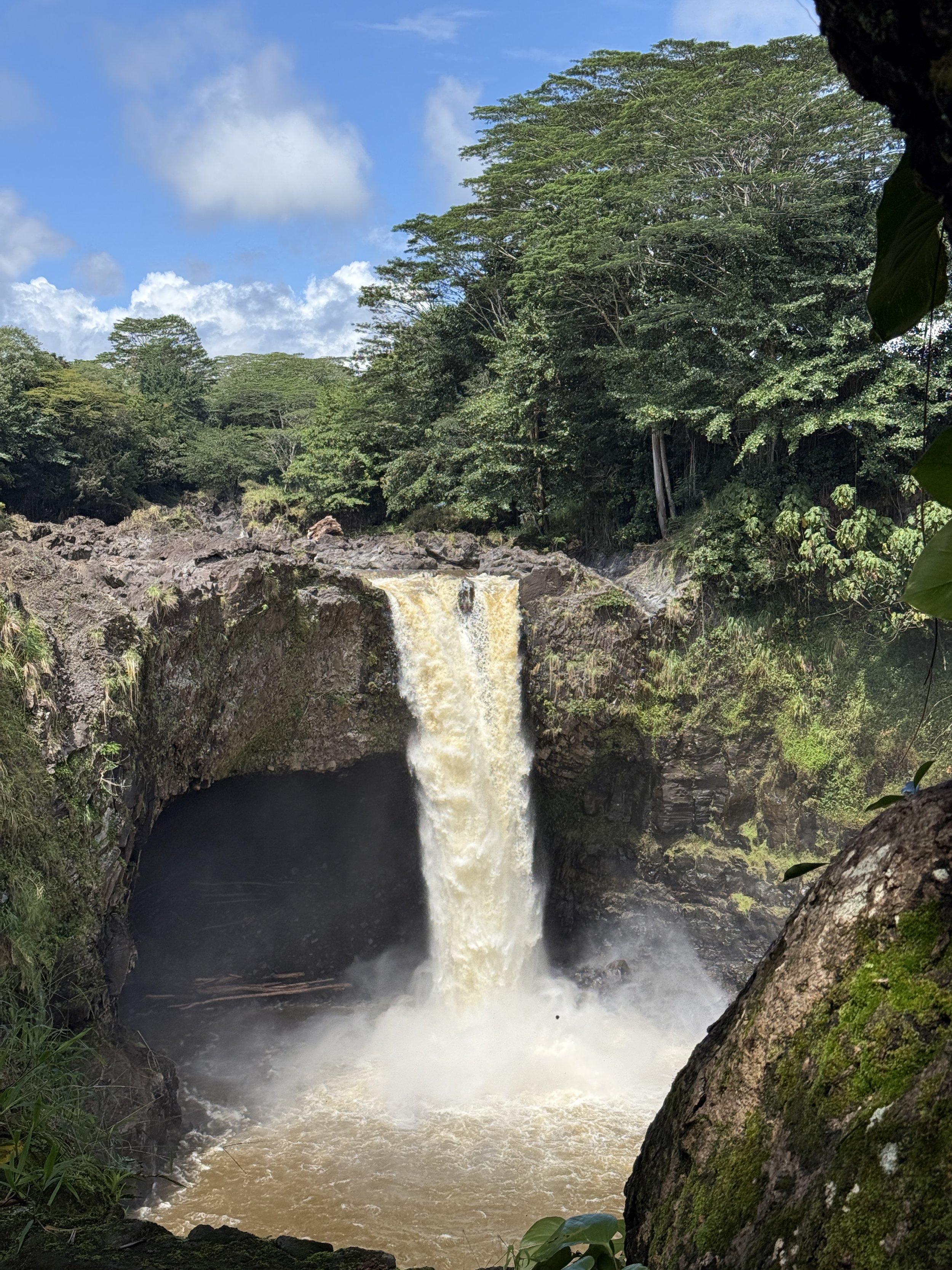 Photo Mar 24 2026, 11 25 05.jpg