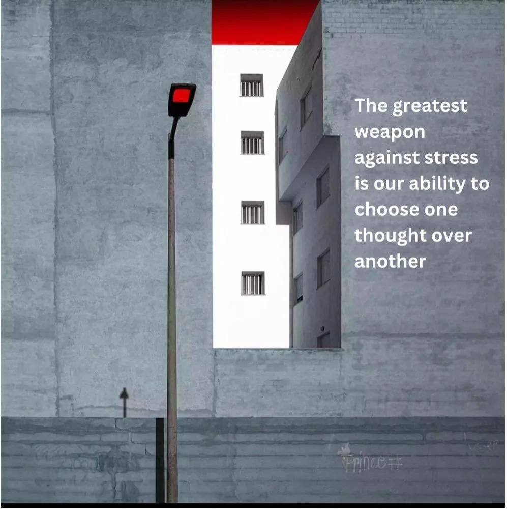 The greatest weapon against stress is our ability to choose one thought over another ⚛️