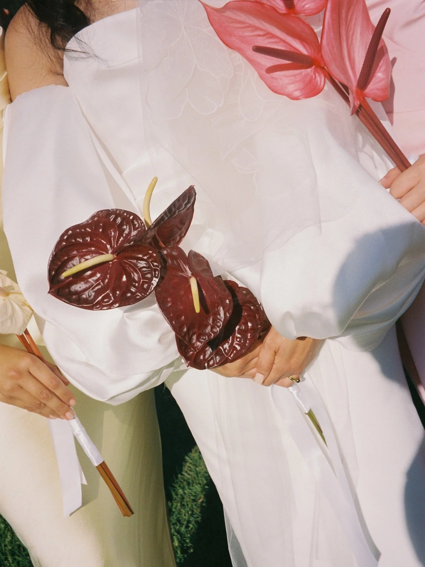 Film for Jeanne + Krish 🎞️ 
Captured by Catherine on our NSW team &hearts;️

#loveonfilm #heartlandsstudio #australianfilmphotographer #sydneyweddingphotographer  #newcastlewedding #newcastleweddingphotographer #married #flowersonfilm